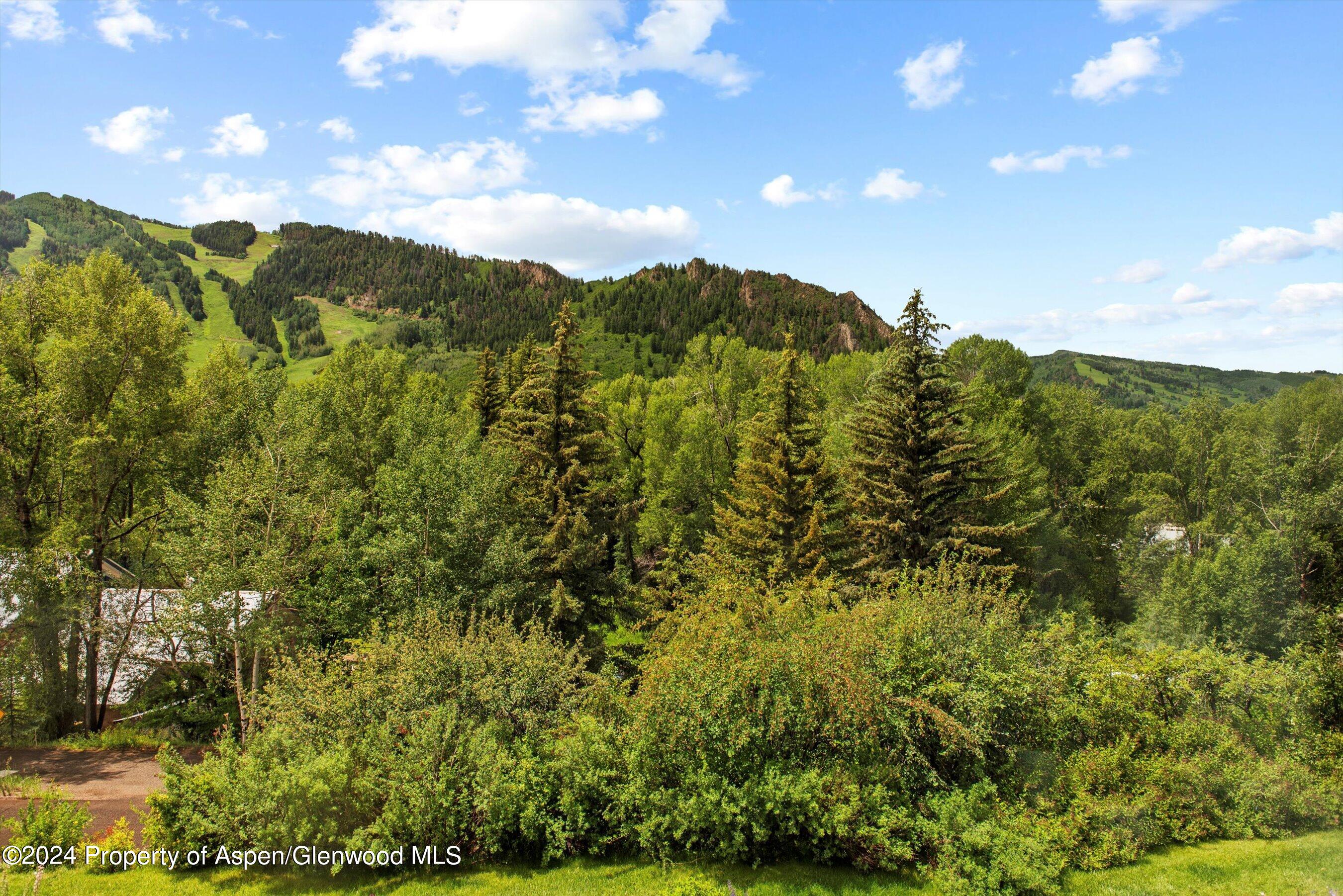 155 Lone Pine Road Aspen CO 81611