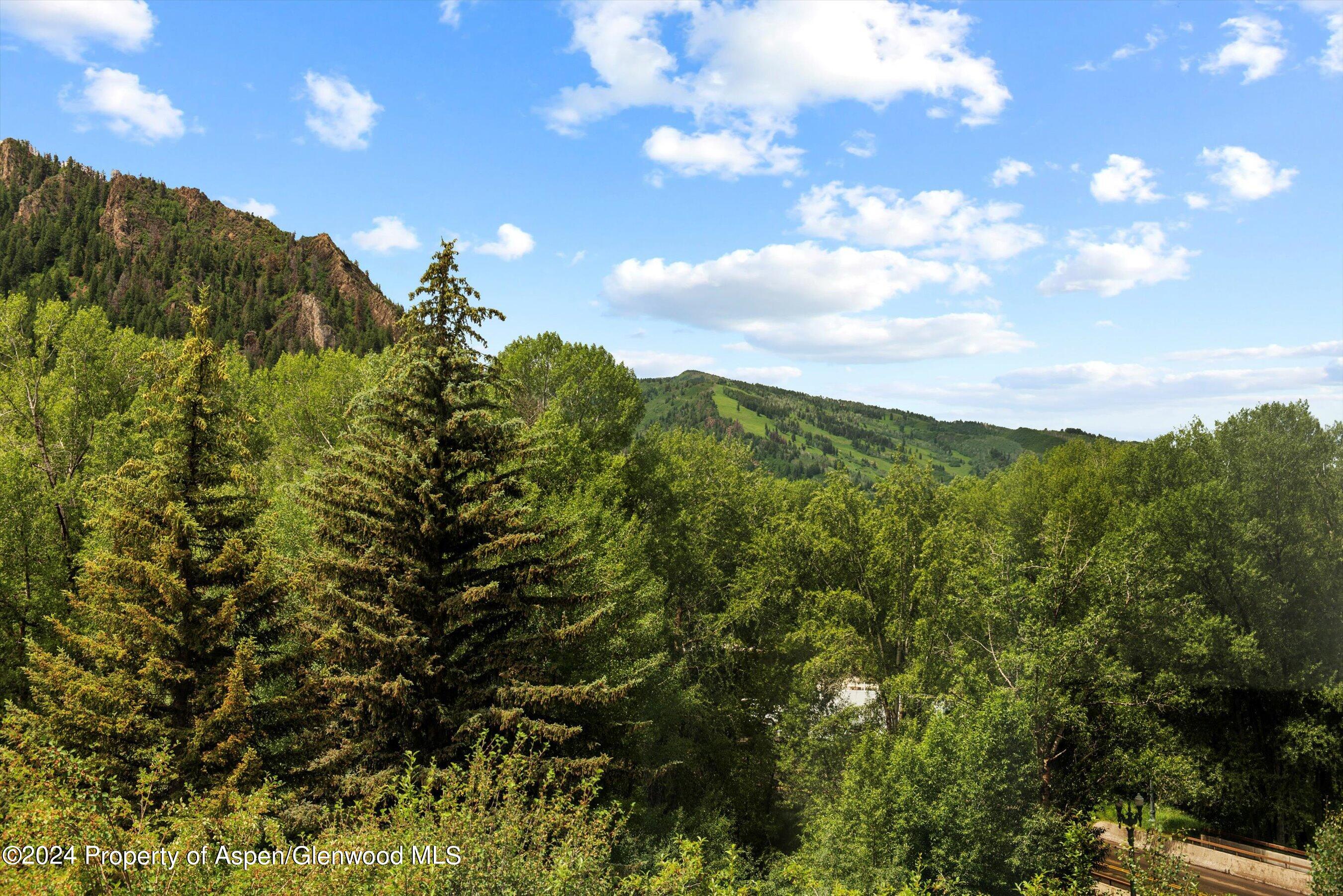 155 Lone Pine Road Aspen CO 81611