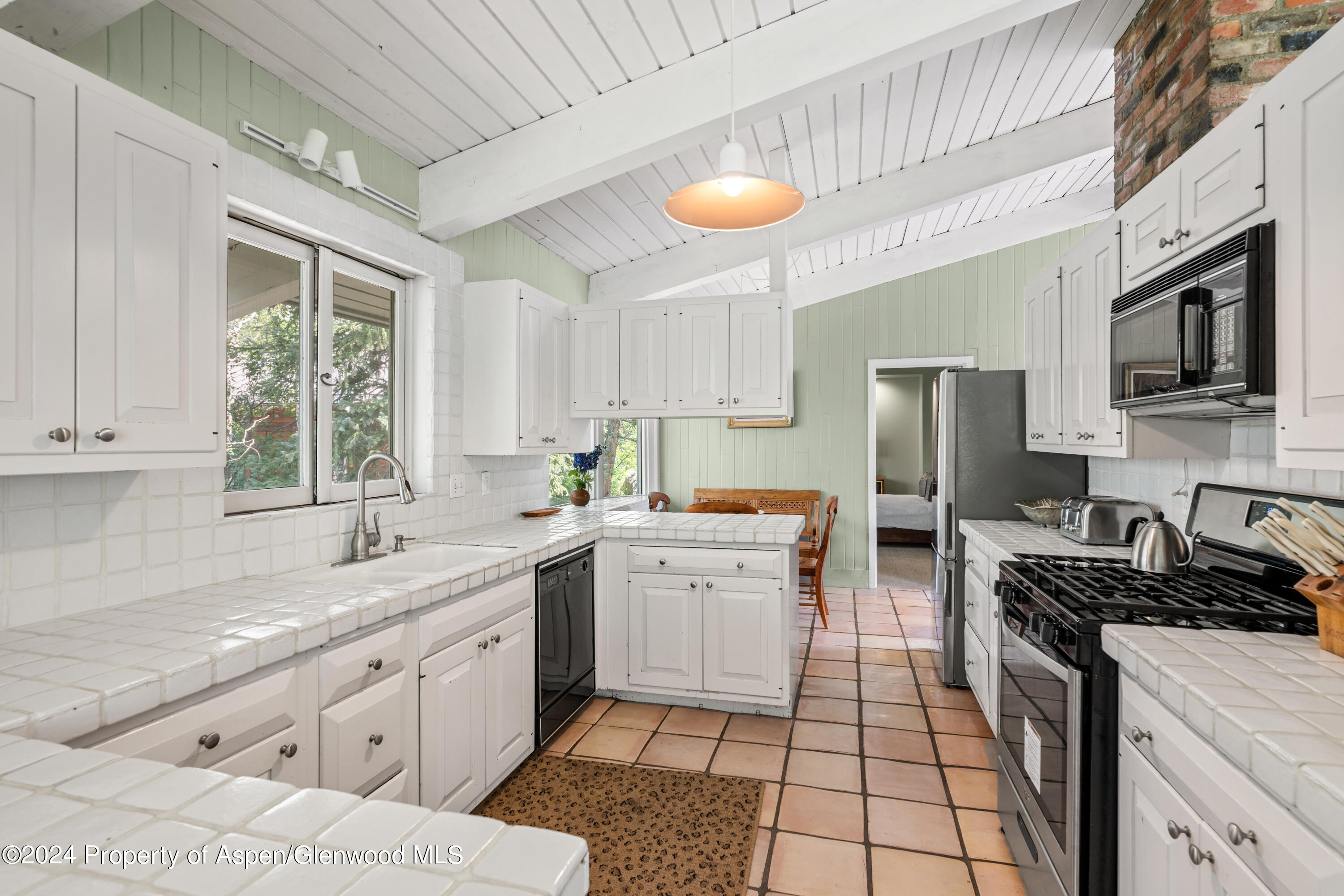 154 E Lupine Drive Aspen CO 81611