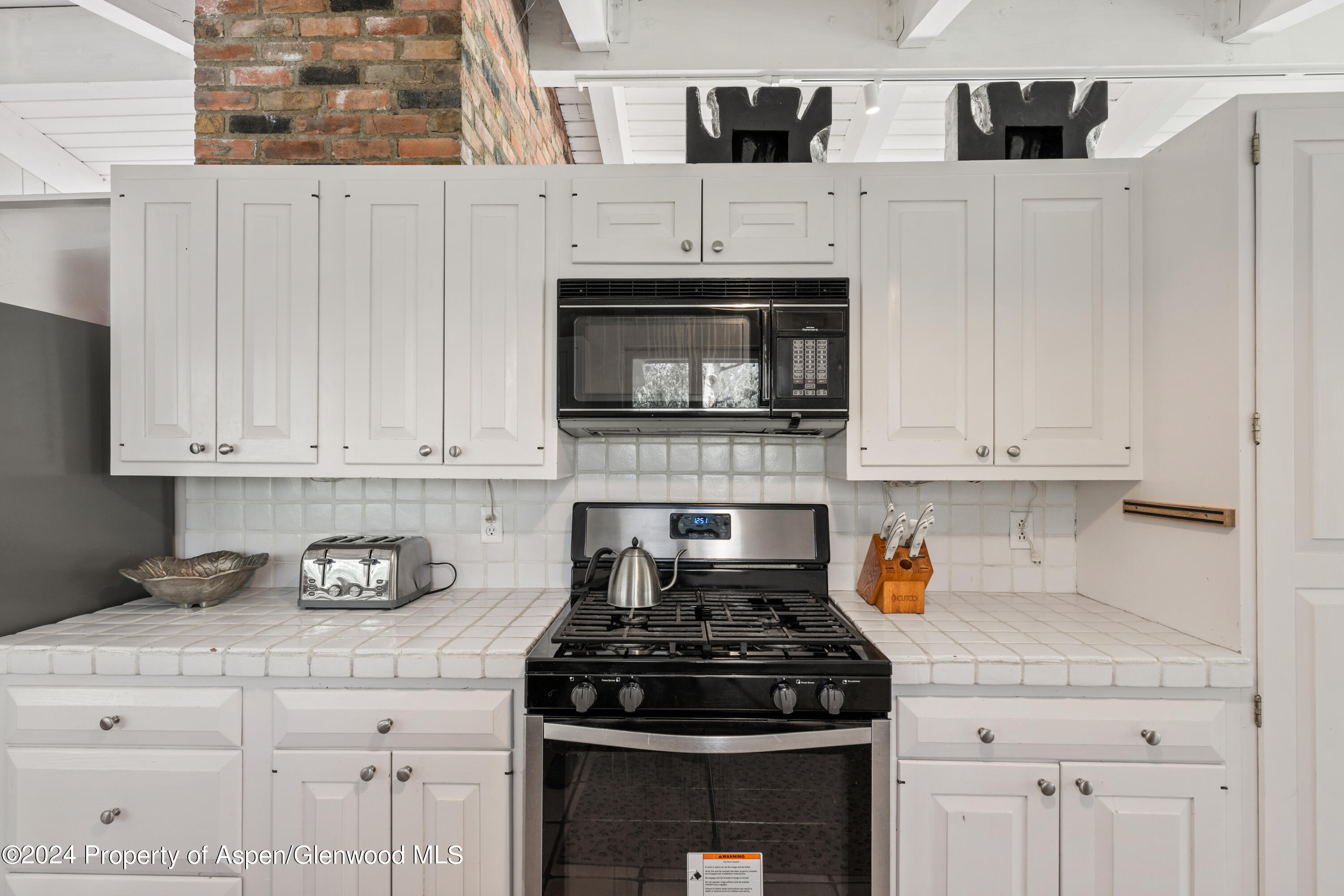 154 E Lupine Drive Aspen CO 81611