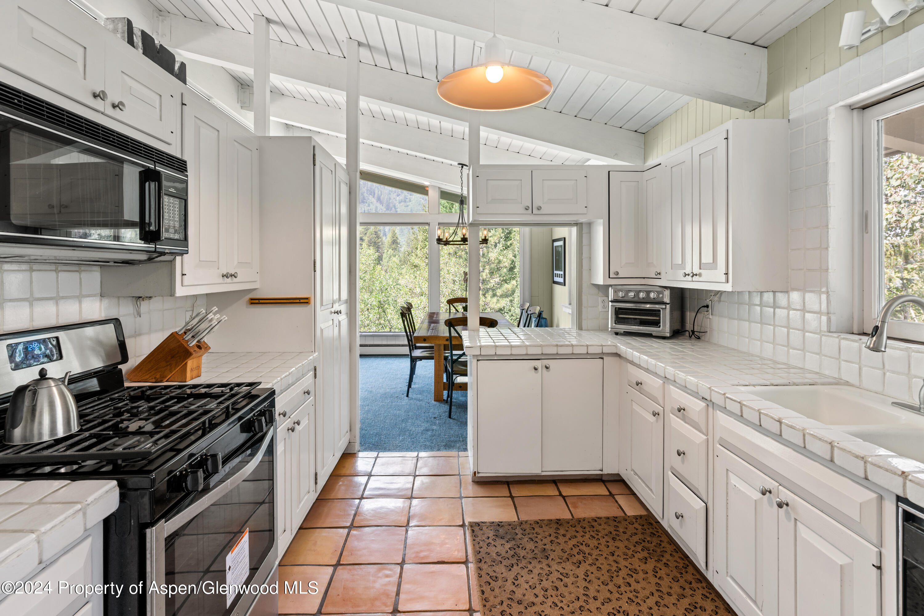 154 E Lupine Drive Aspen CO 81611