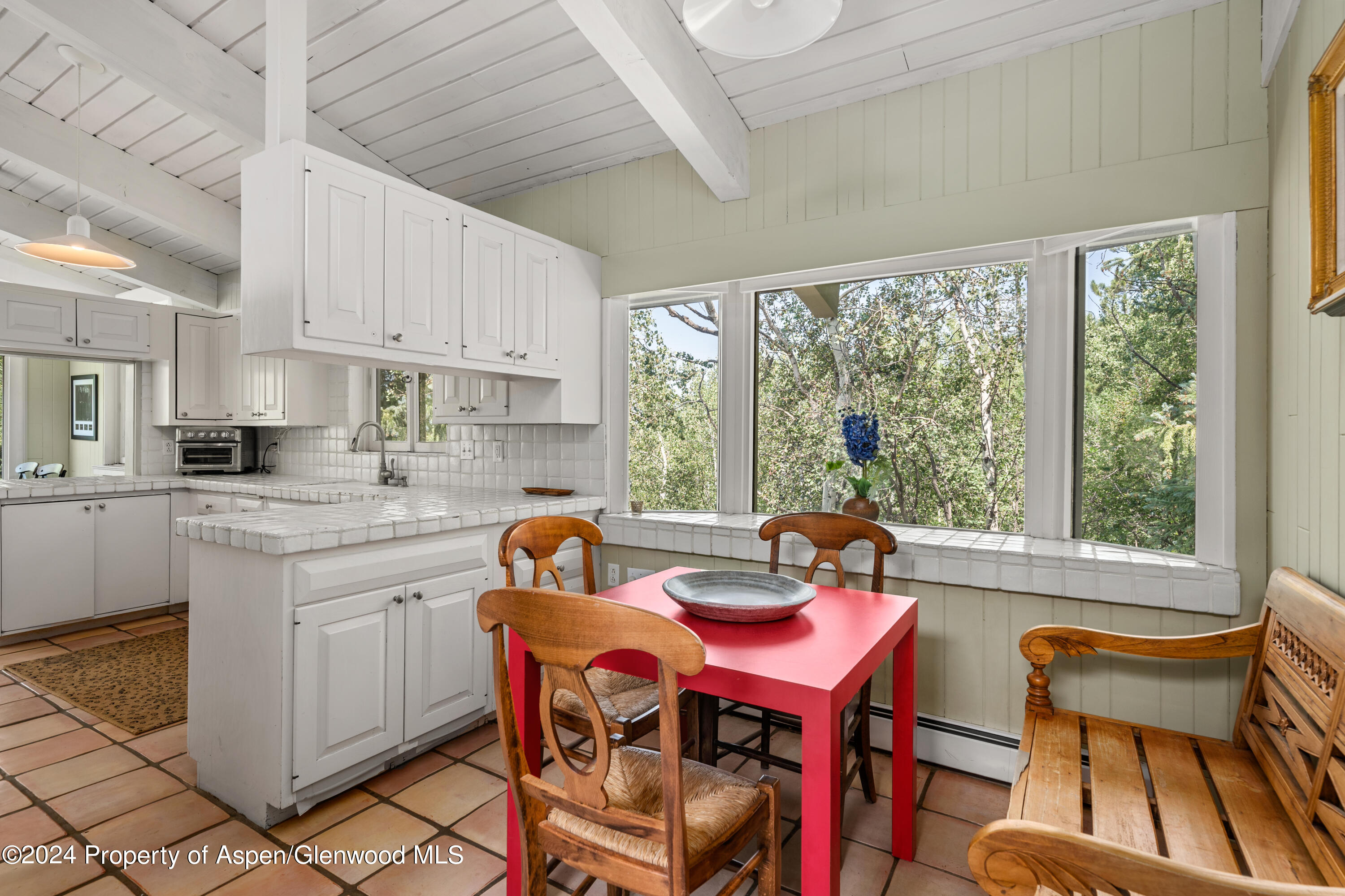 154 E Lupine Drive Aspen CO 81611