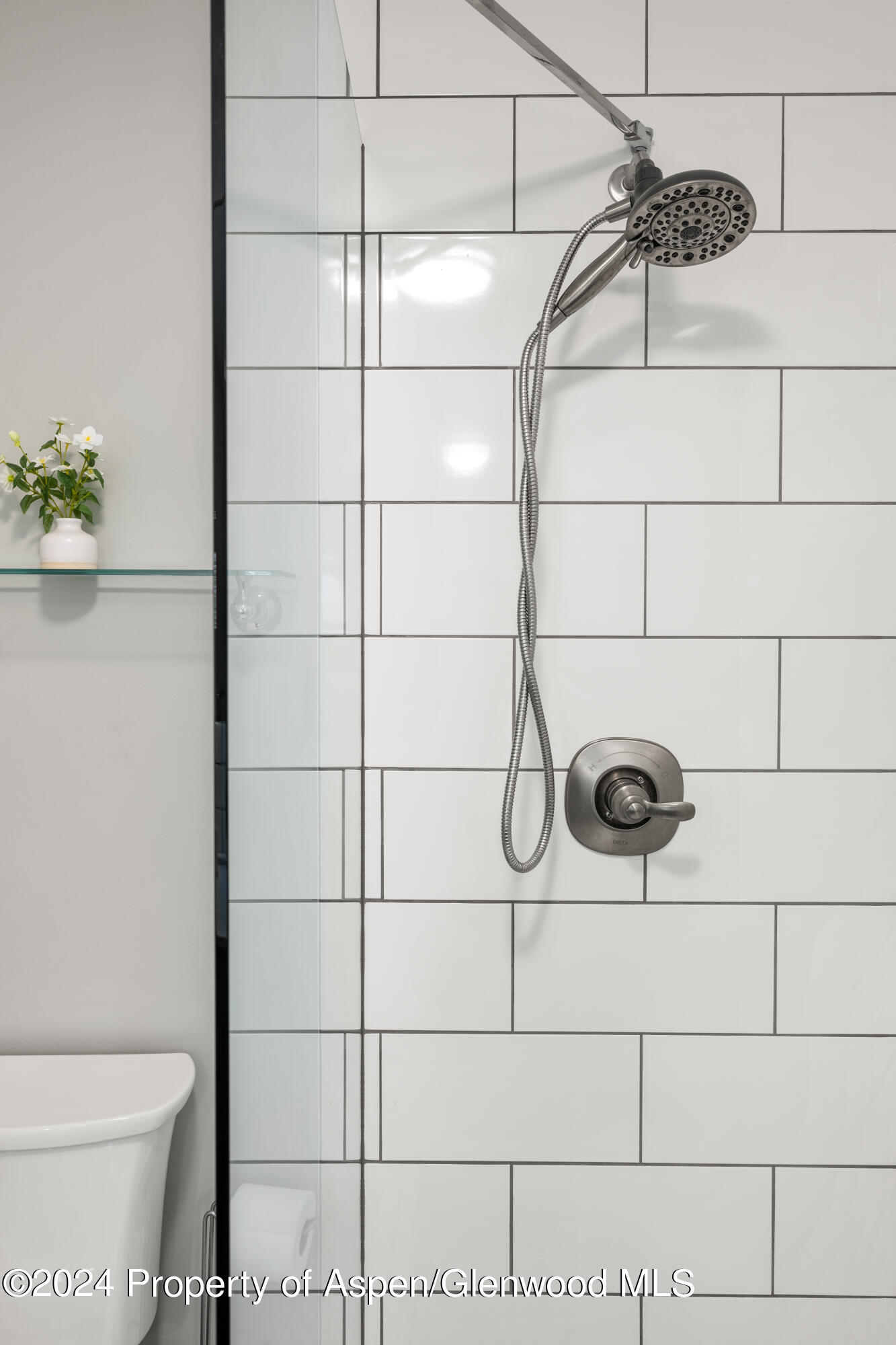 154 E Lupine Drive Aspen CO 81611