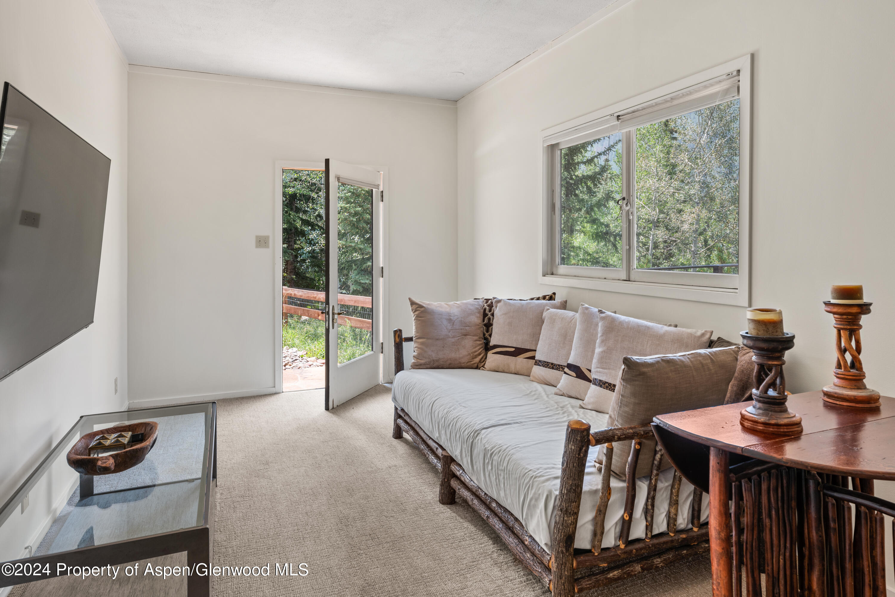 154 E Lupine Drive Aspen CO 81611