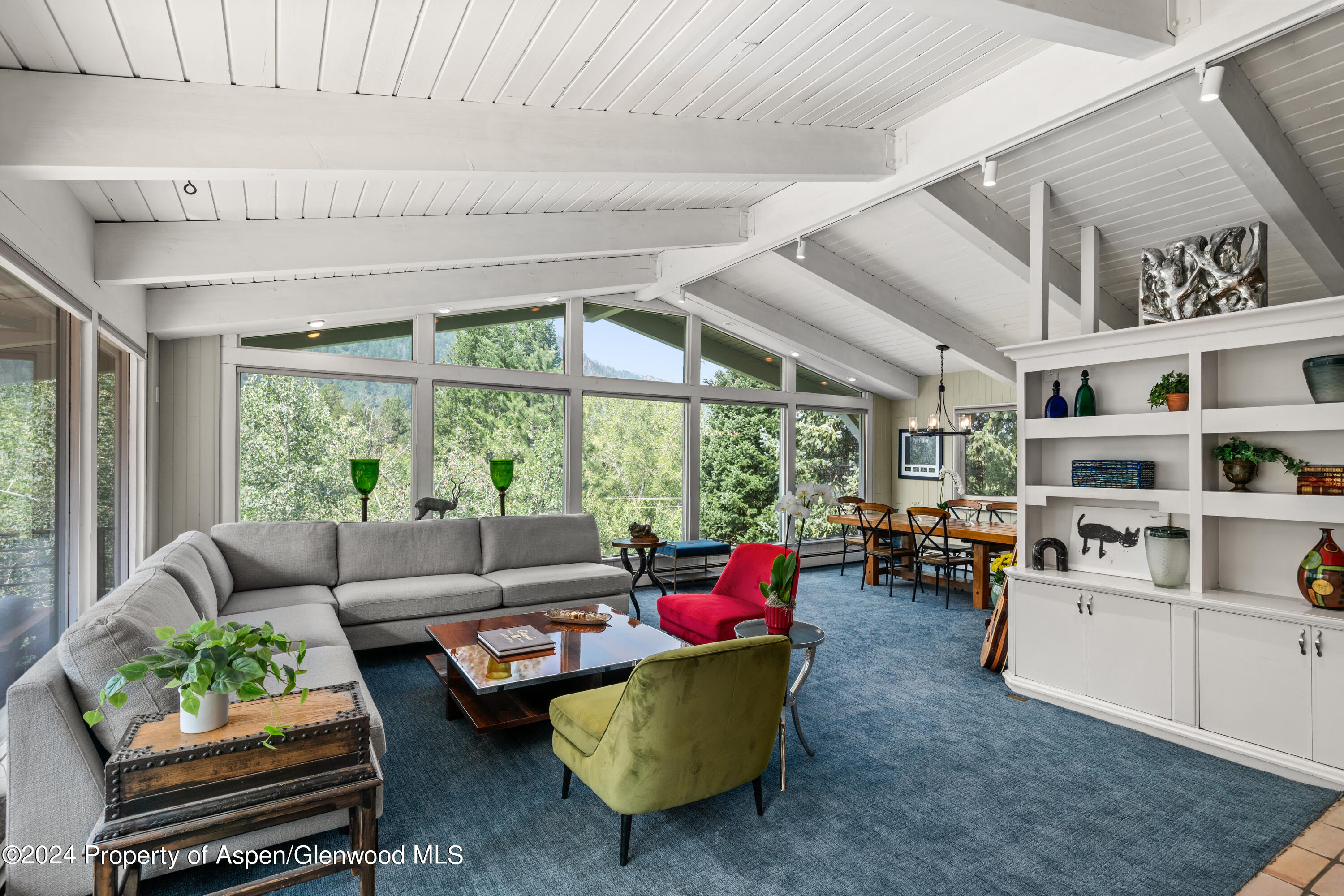 154 E Lupine Drive Aspen CO 81611