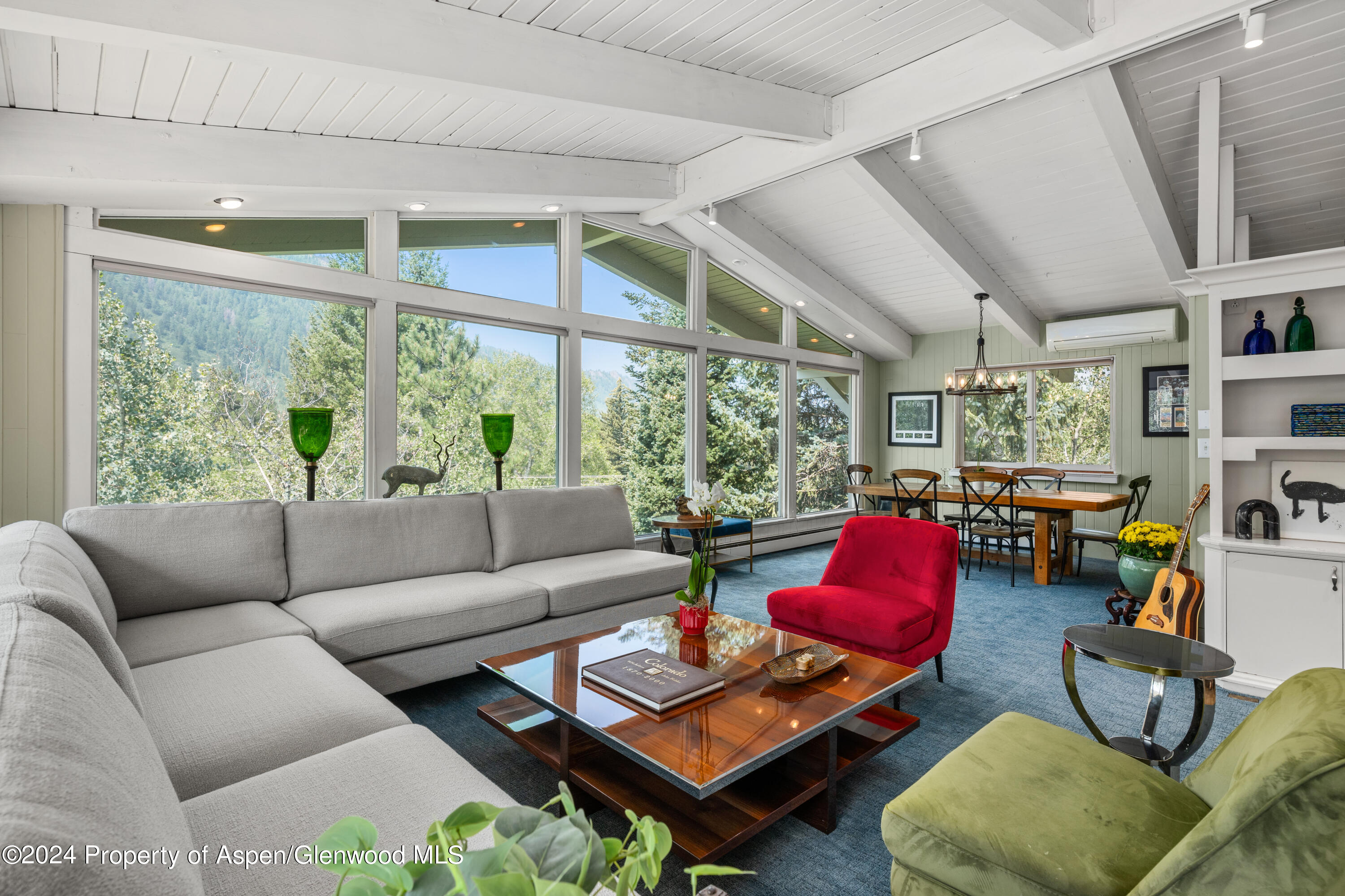 154 E Lupine Drive Aspen CO 81611