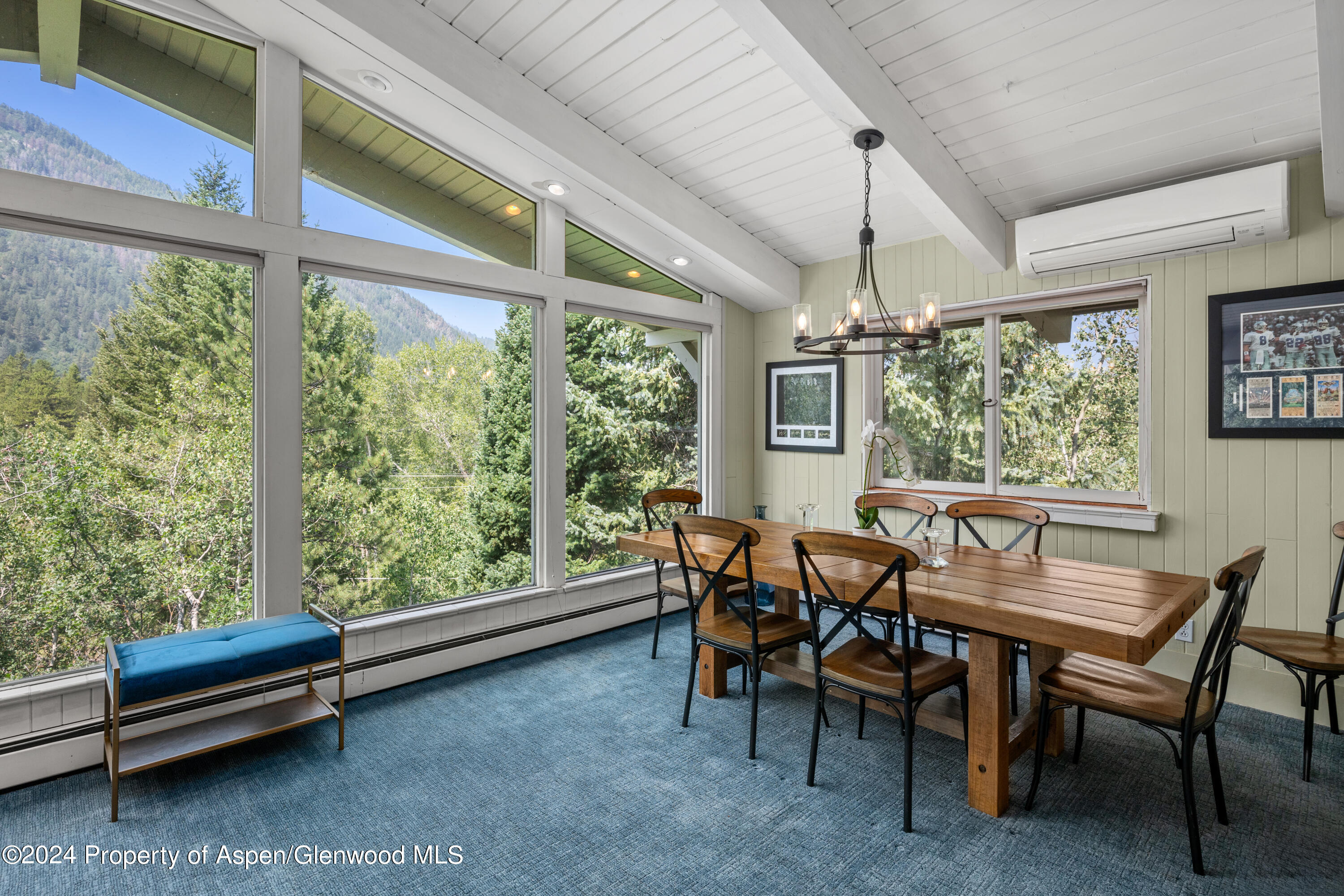 154 E Lupine Drive Aspen CO 81611