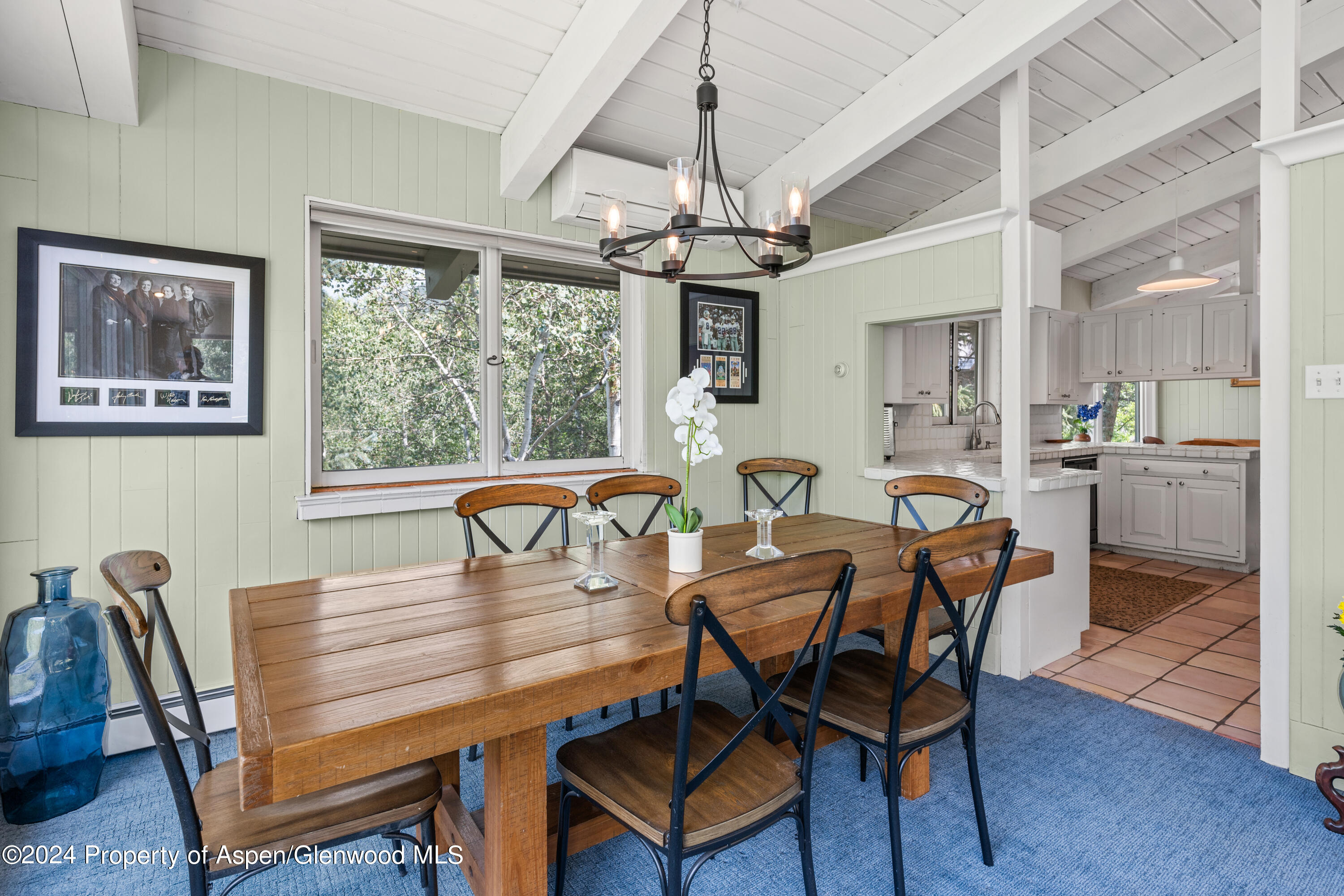 154 E Lupine Drive Aspen CO 81611