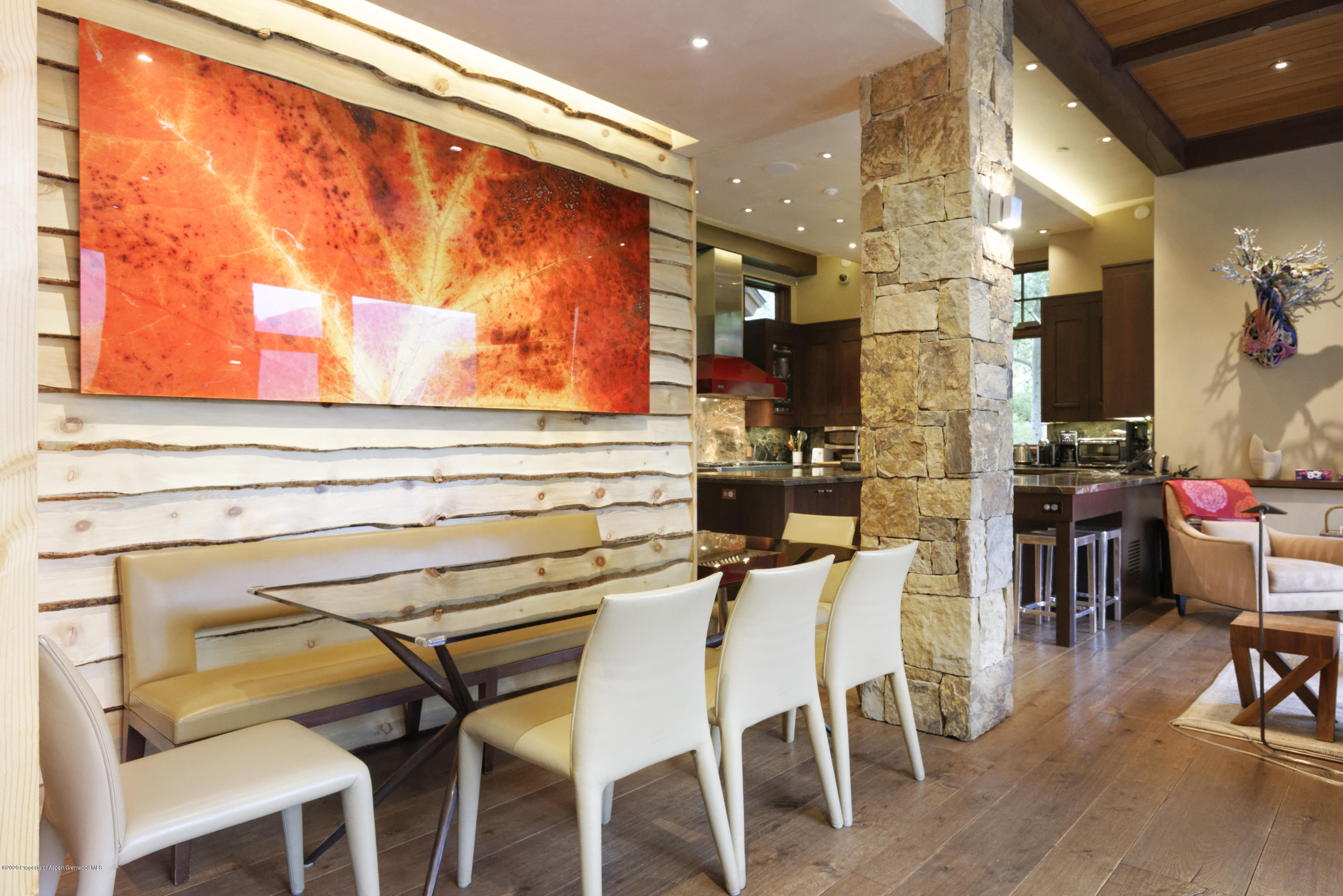 105 Exhibition Lane Aspen CO 81611