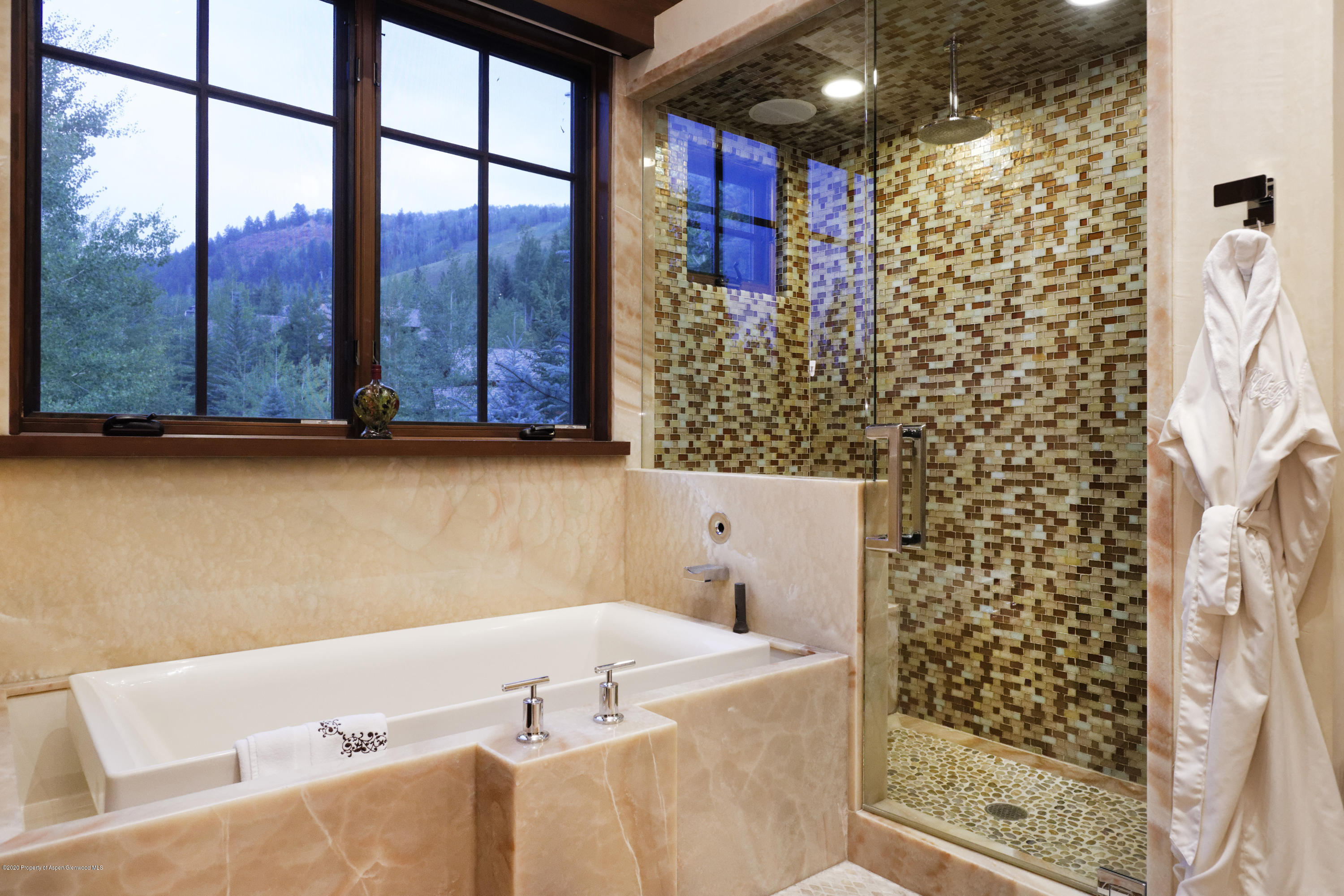 105 Exhibition Lane Aspen CO 81611