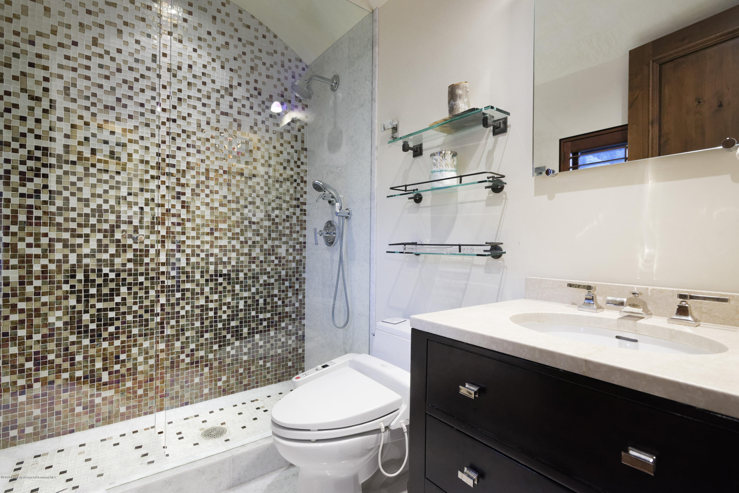 105 Exhibition Lane Aspen CO 81611