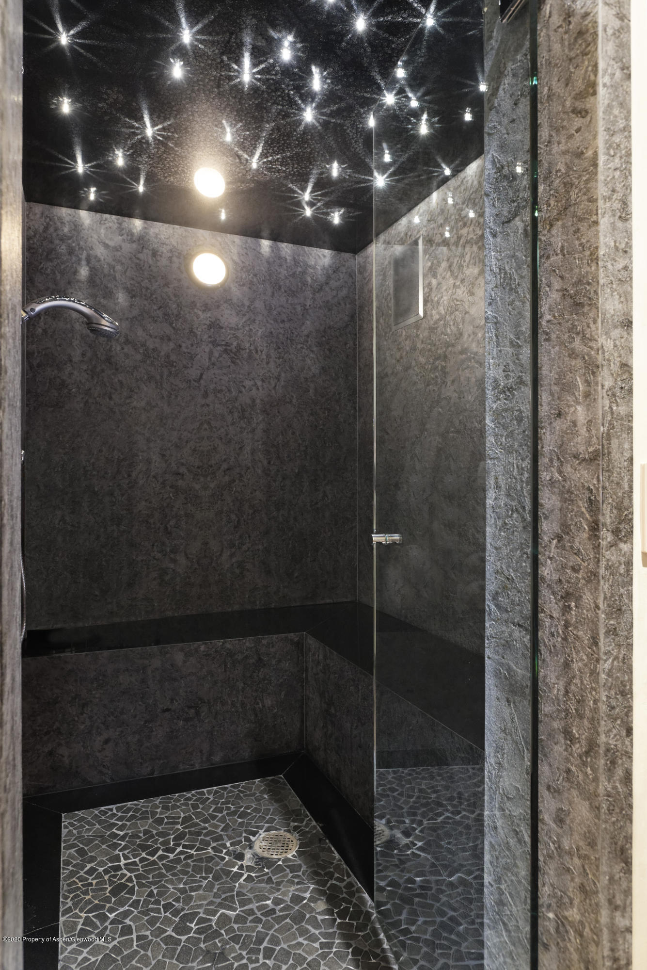 105 Exhibition Lane Aspen CO 81611