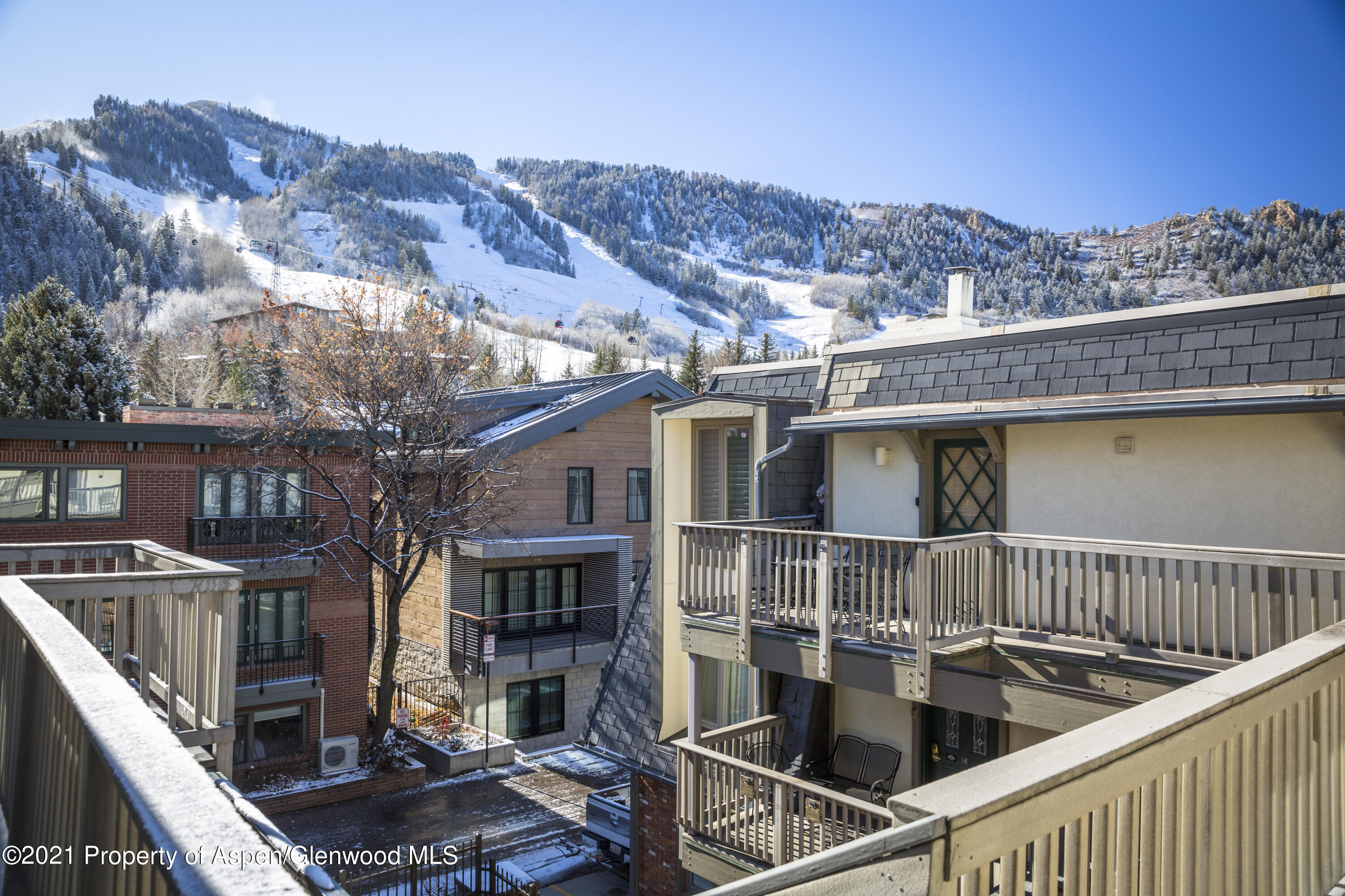731 E Durant Avenue Aspen CO 81611