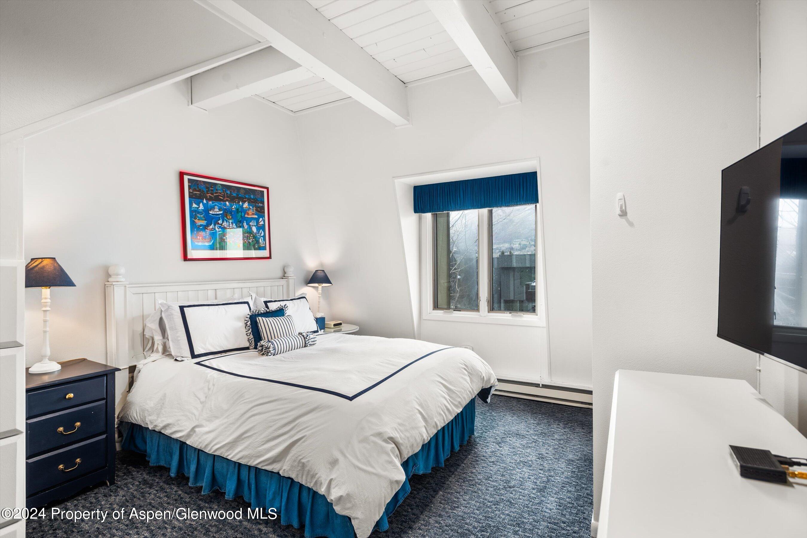 731 E Durant Avenue Aspen CO 81611