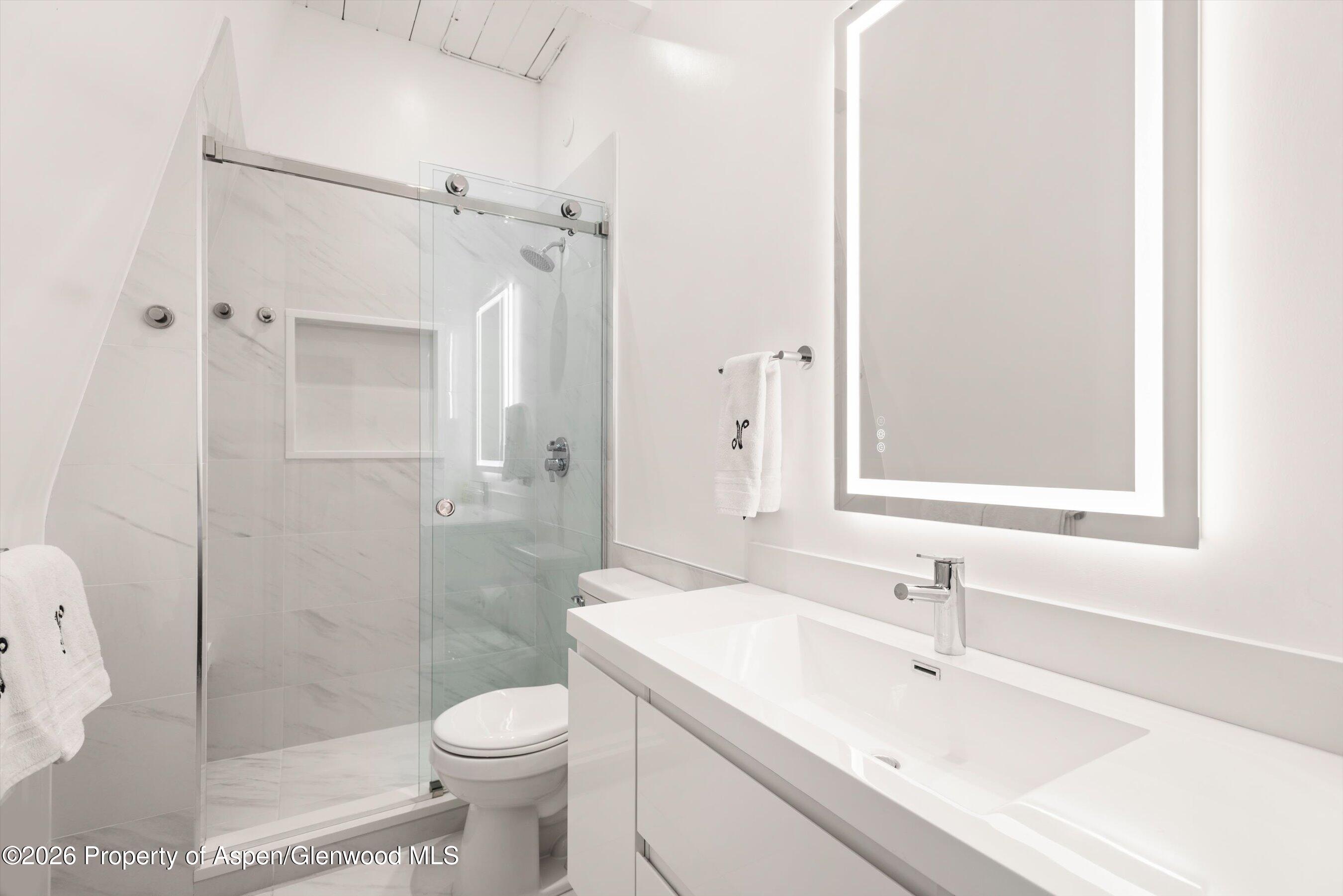 731 E Durant Avenue Aspen CO 81611