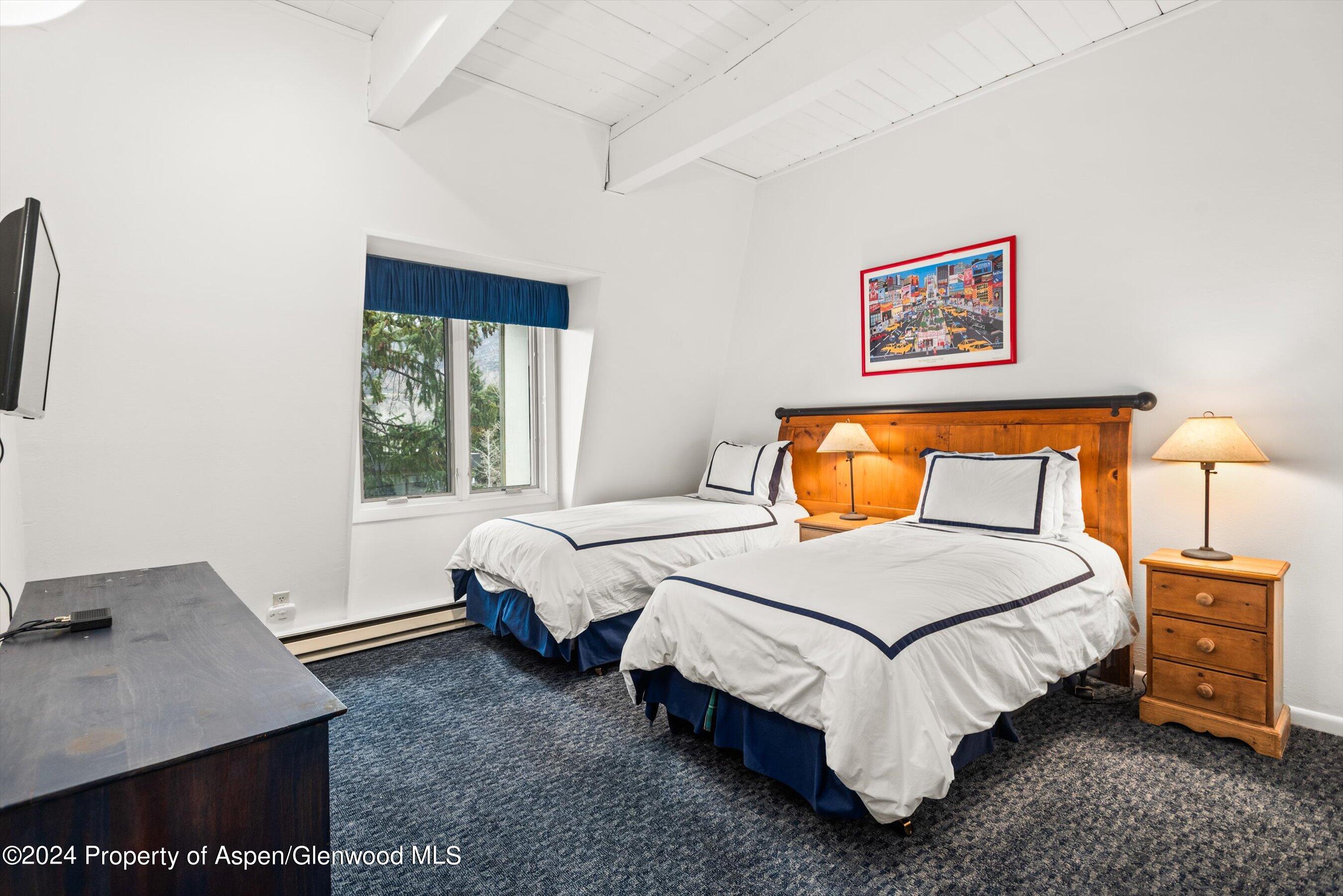 731 E Durant Avenue Aspen CO 81611