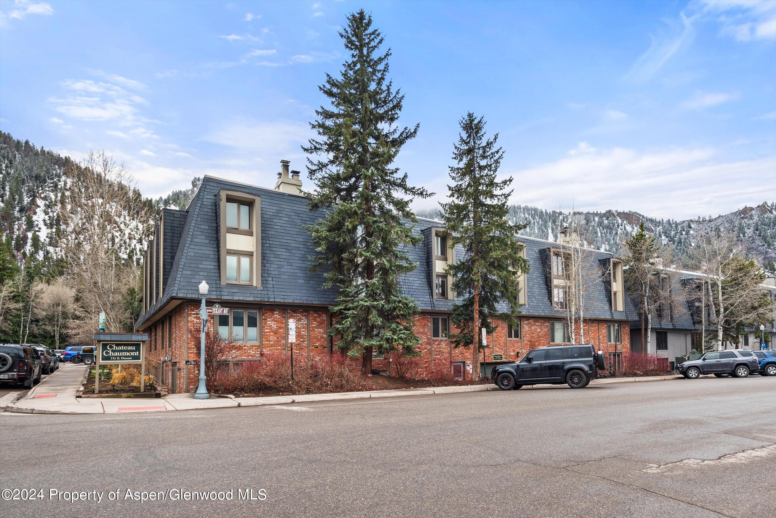 731 E Durant Avenue Aspen CO 81611