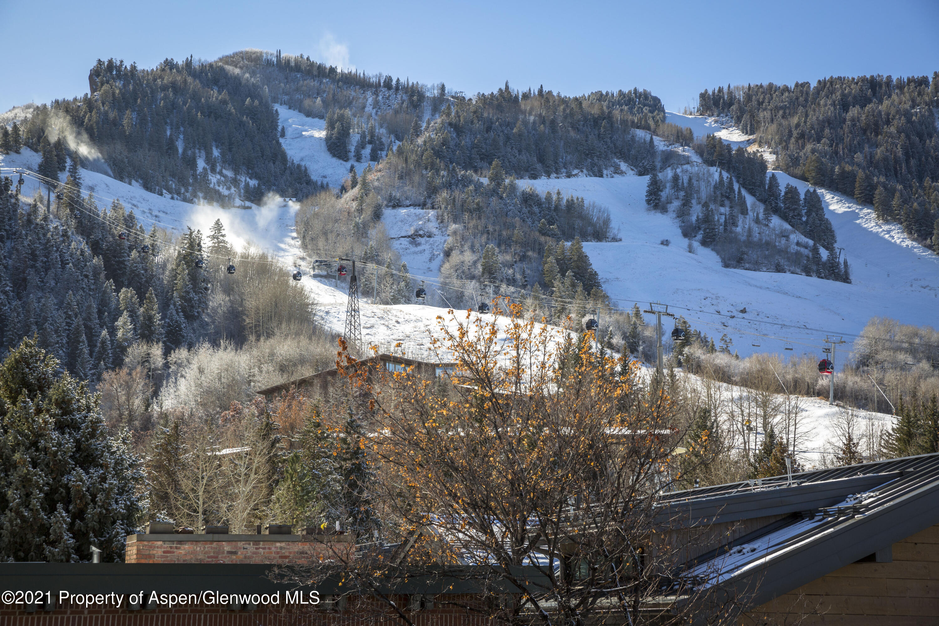 731 E Durant Avenue Aspen CO 81611