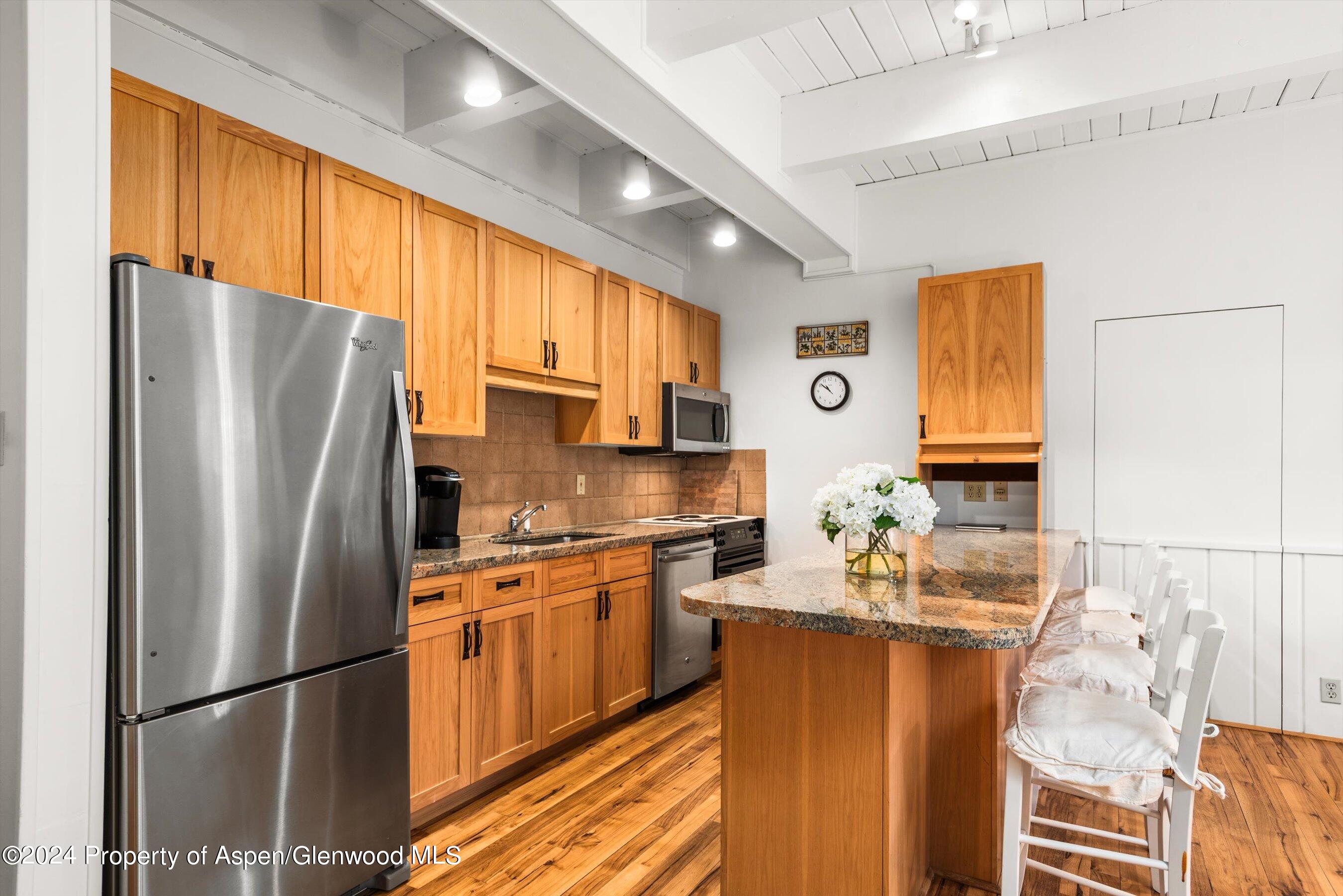 731 E Durant Avenue Aspen CO 81611