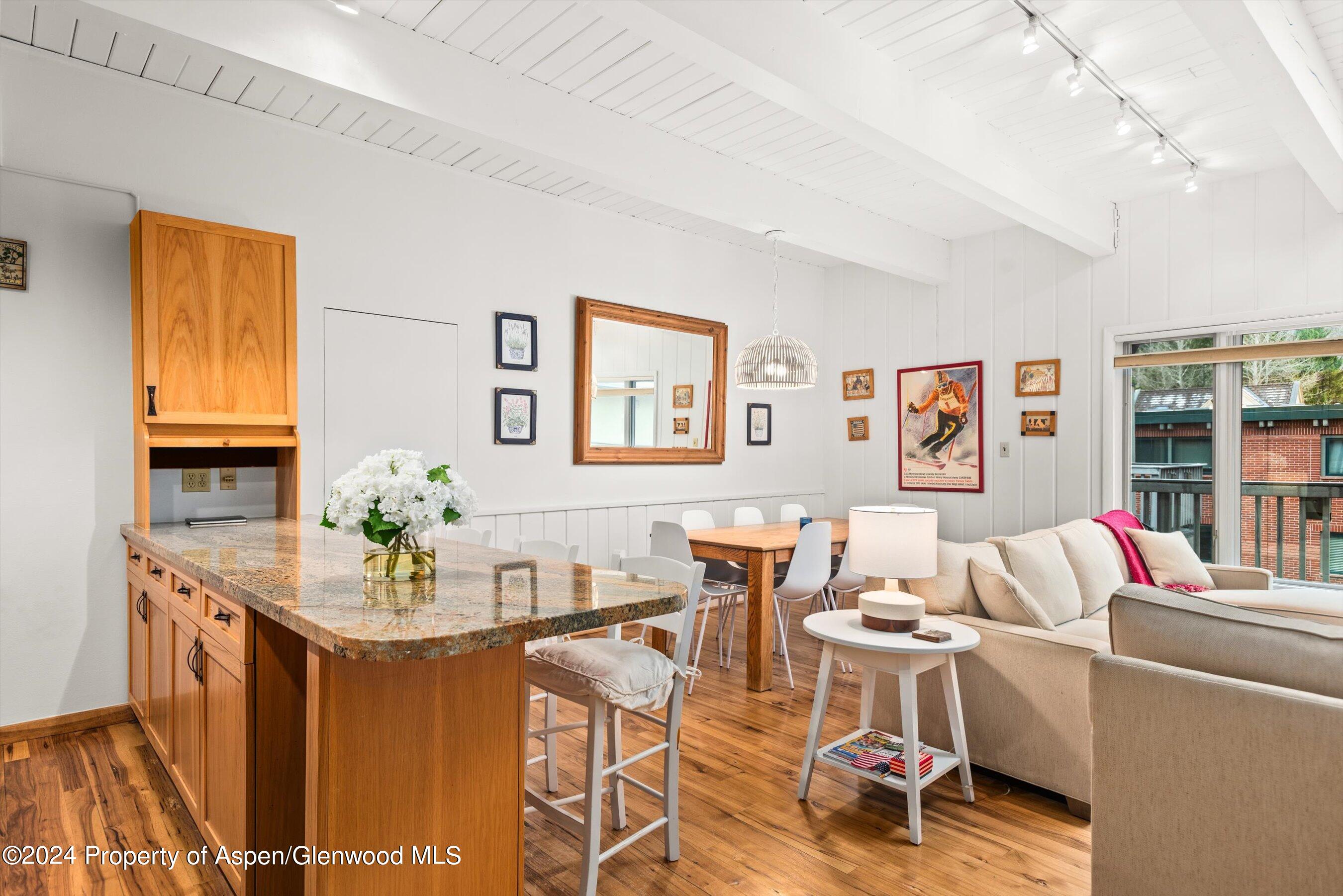 731 E Durant Avenue Aspen CO 81611