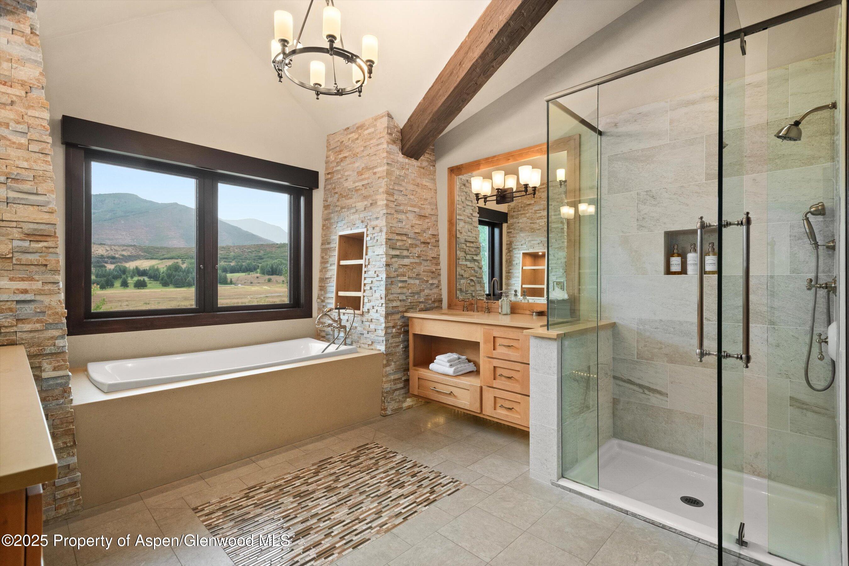 101 Byers Court Aspen CO 81611