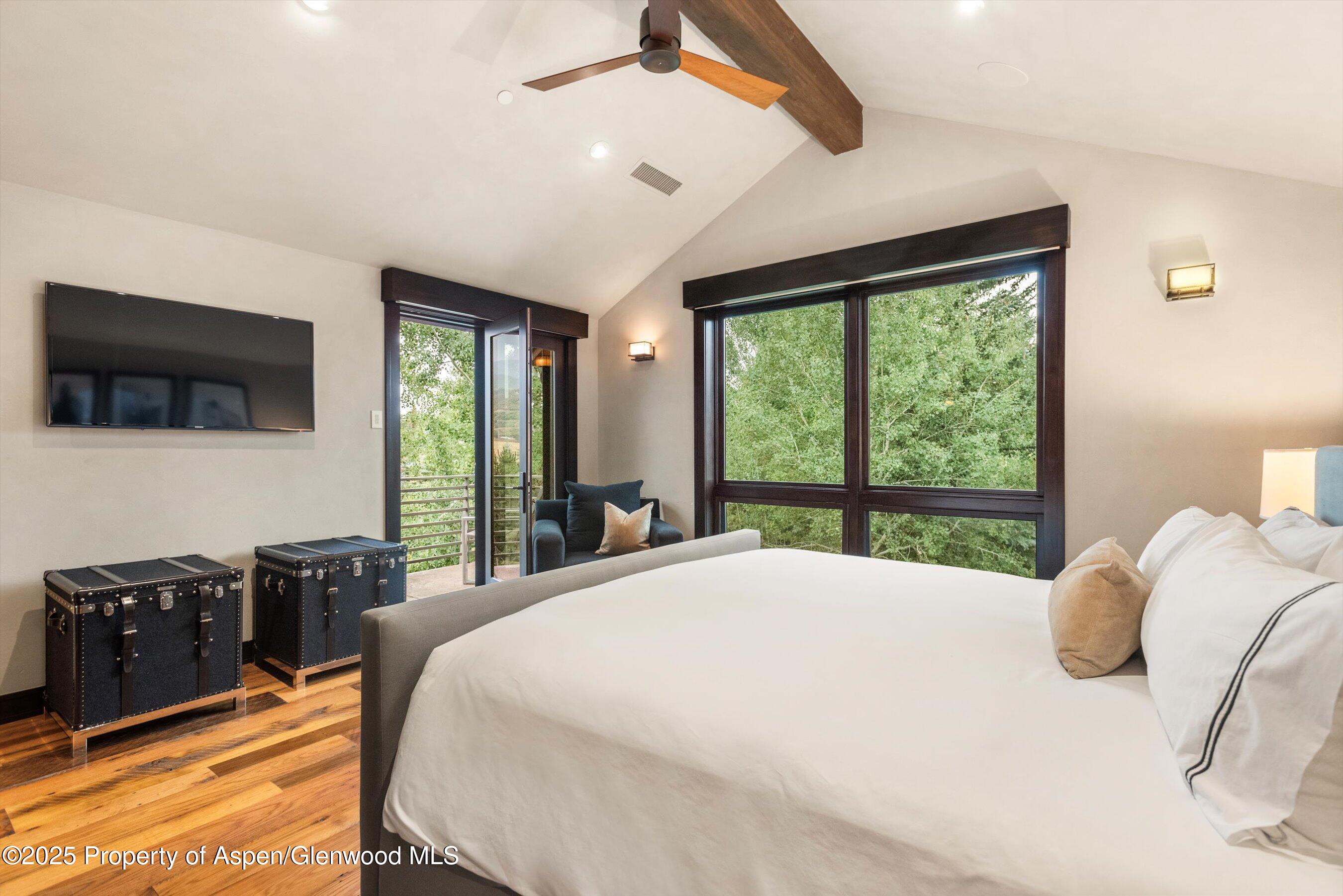 101 Byers Court Aspen CO 81611