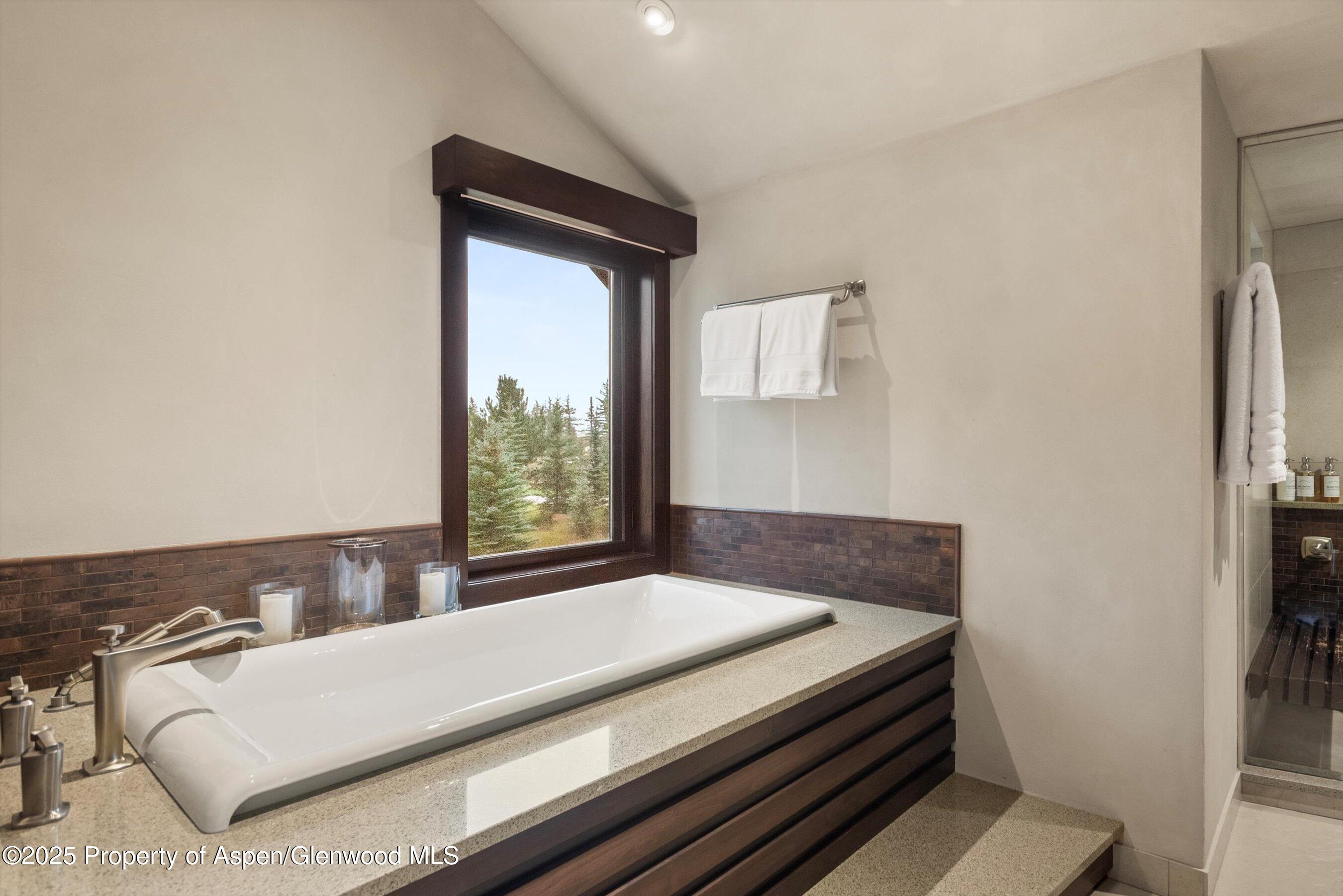 101 Byers Court Aspen CO 81611