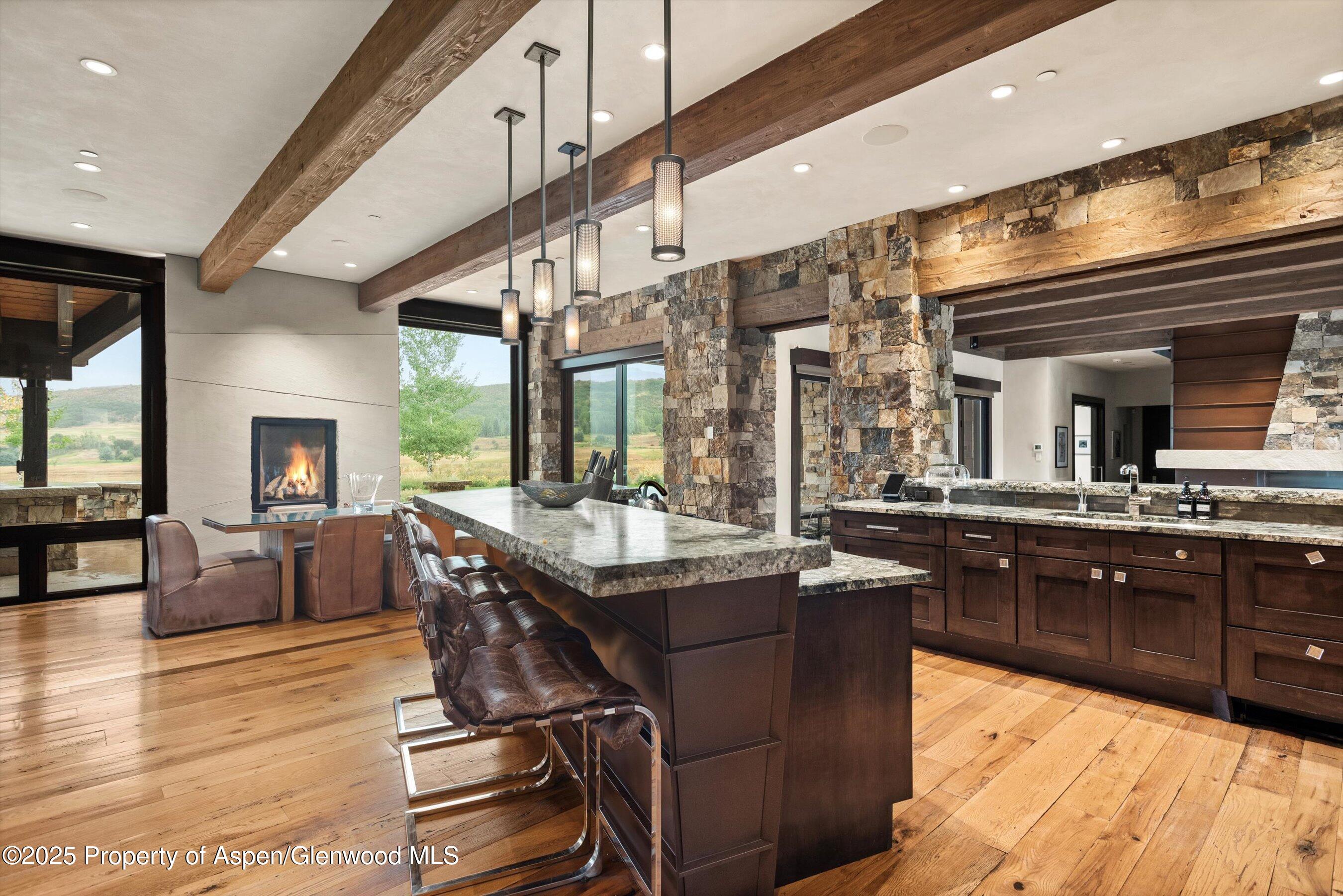 101 Byers Court Aspen CO 81611