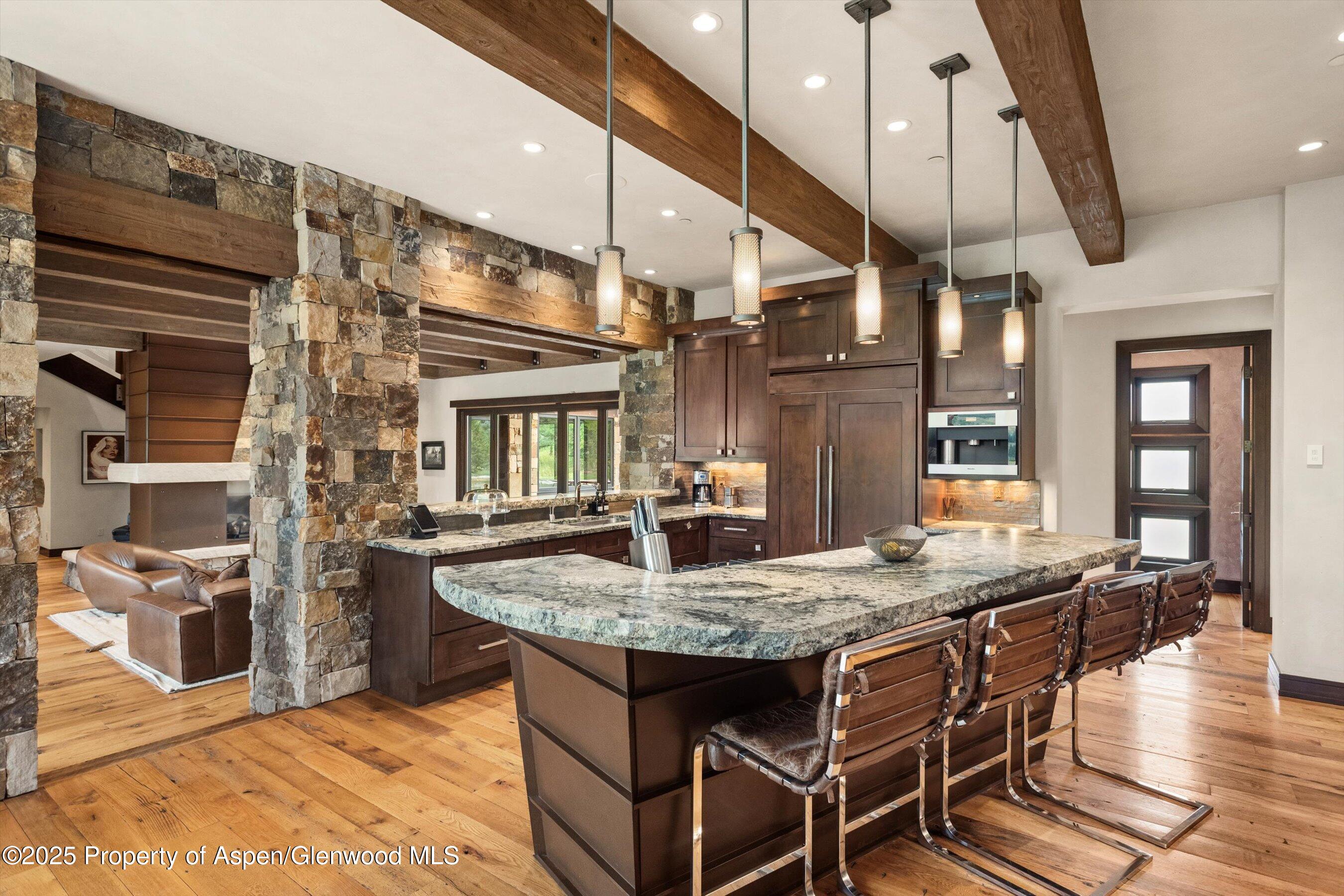 101 Byers Court Aspen CO 81611