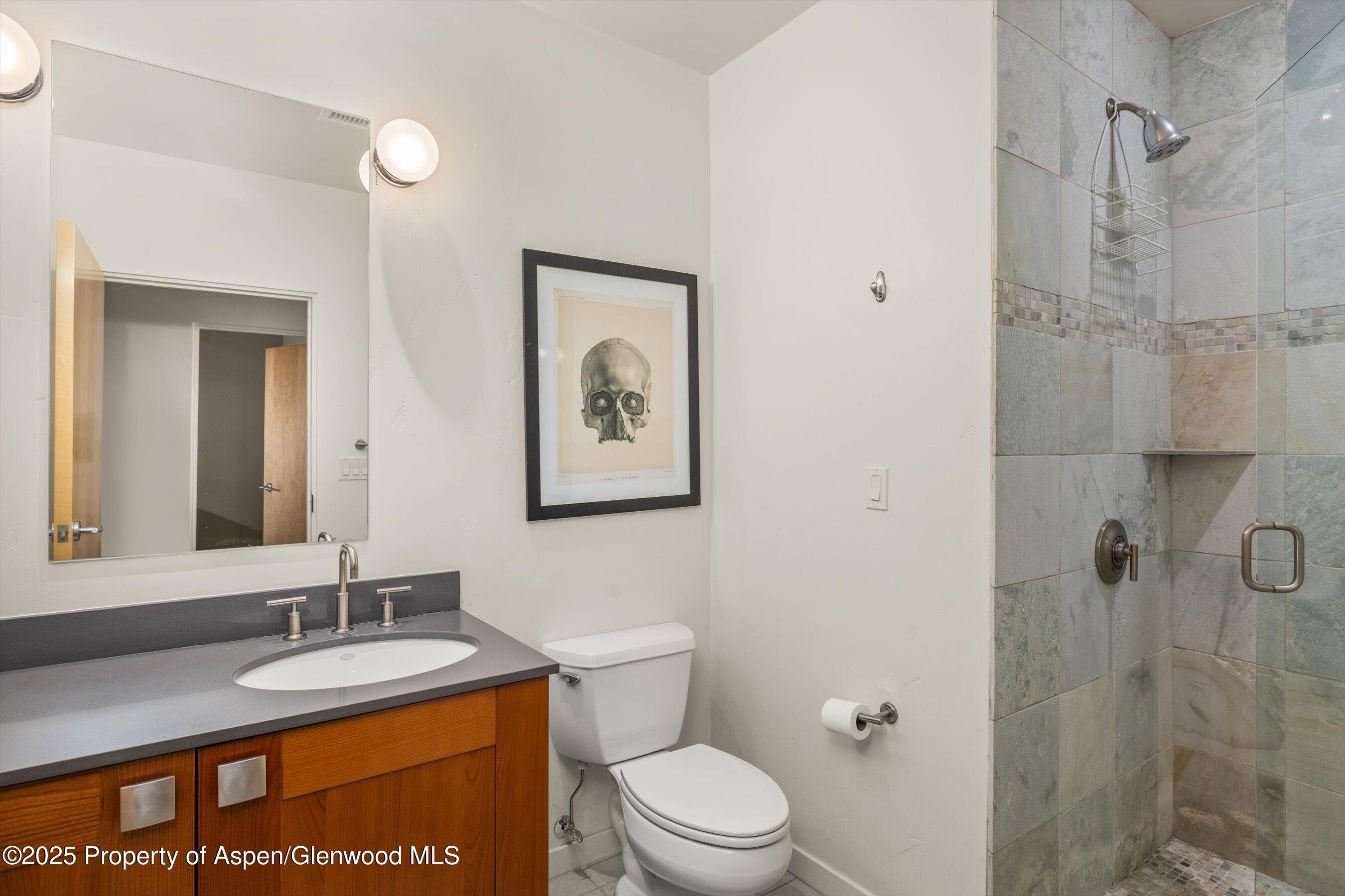 231 Robinson Street Basalt CO 81621