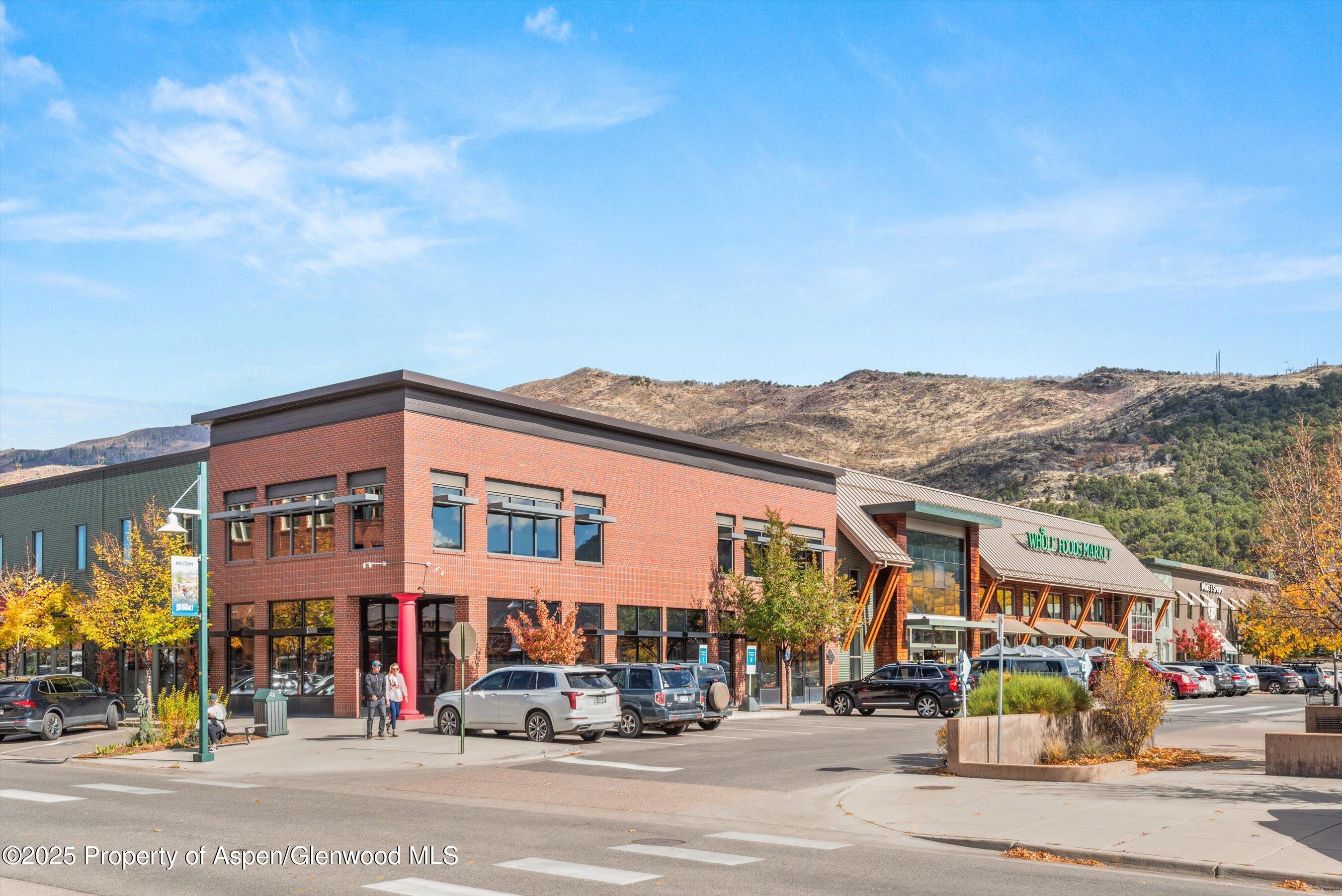 231 Robinson Street Basalt CO 81621