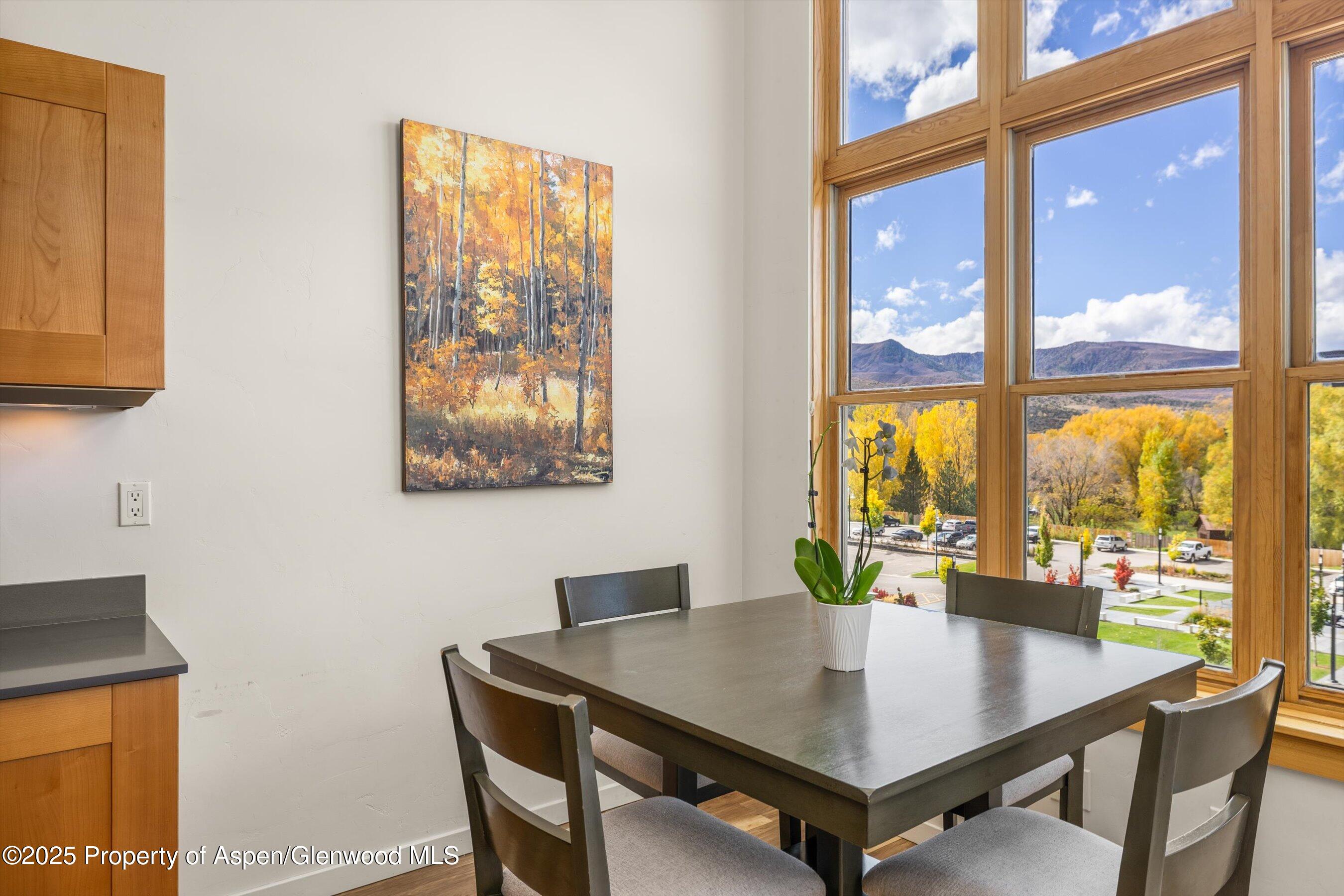 231 Robinson Street Basalt CO 81621
