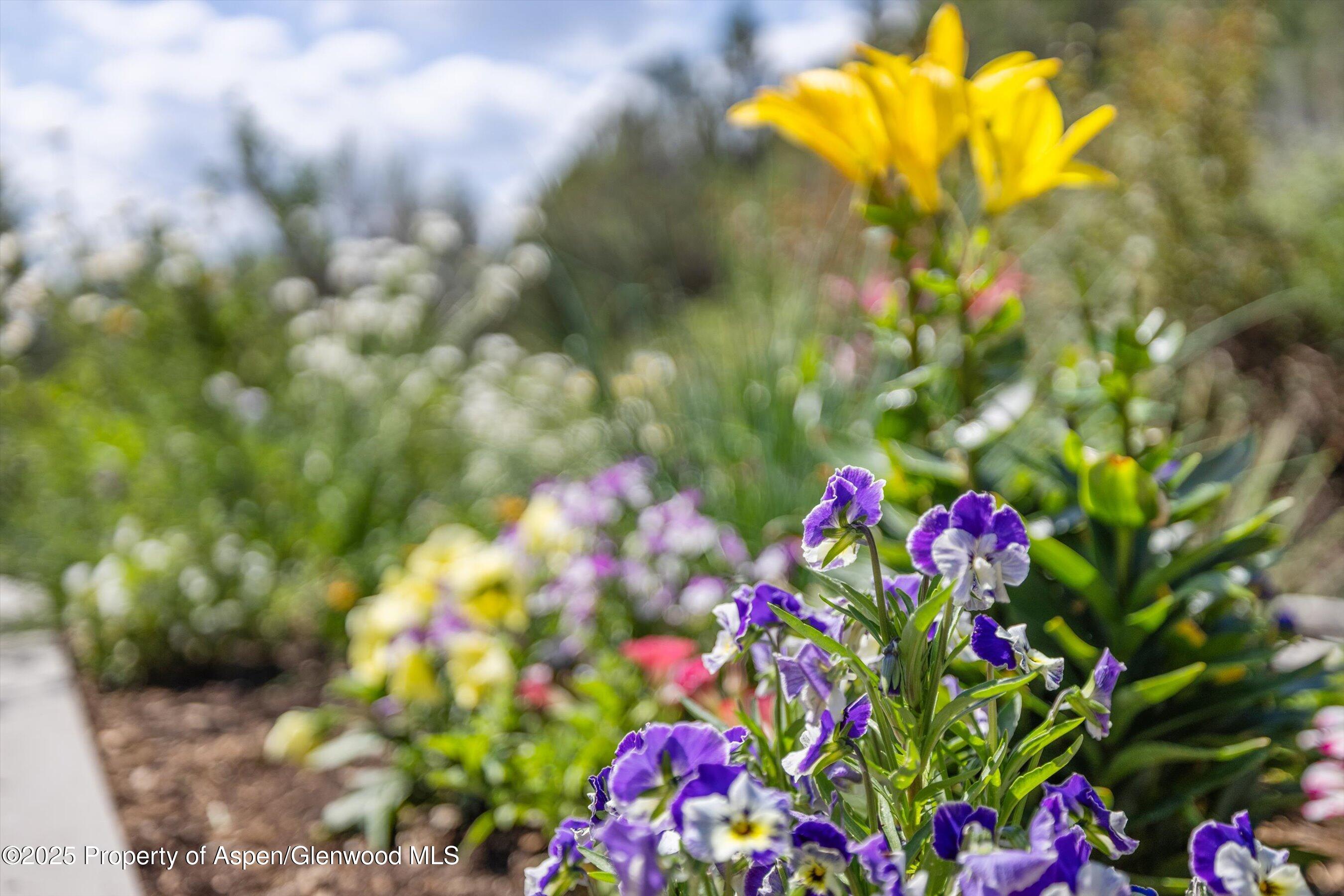 148 Gateway Road Snowmass CO 81654