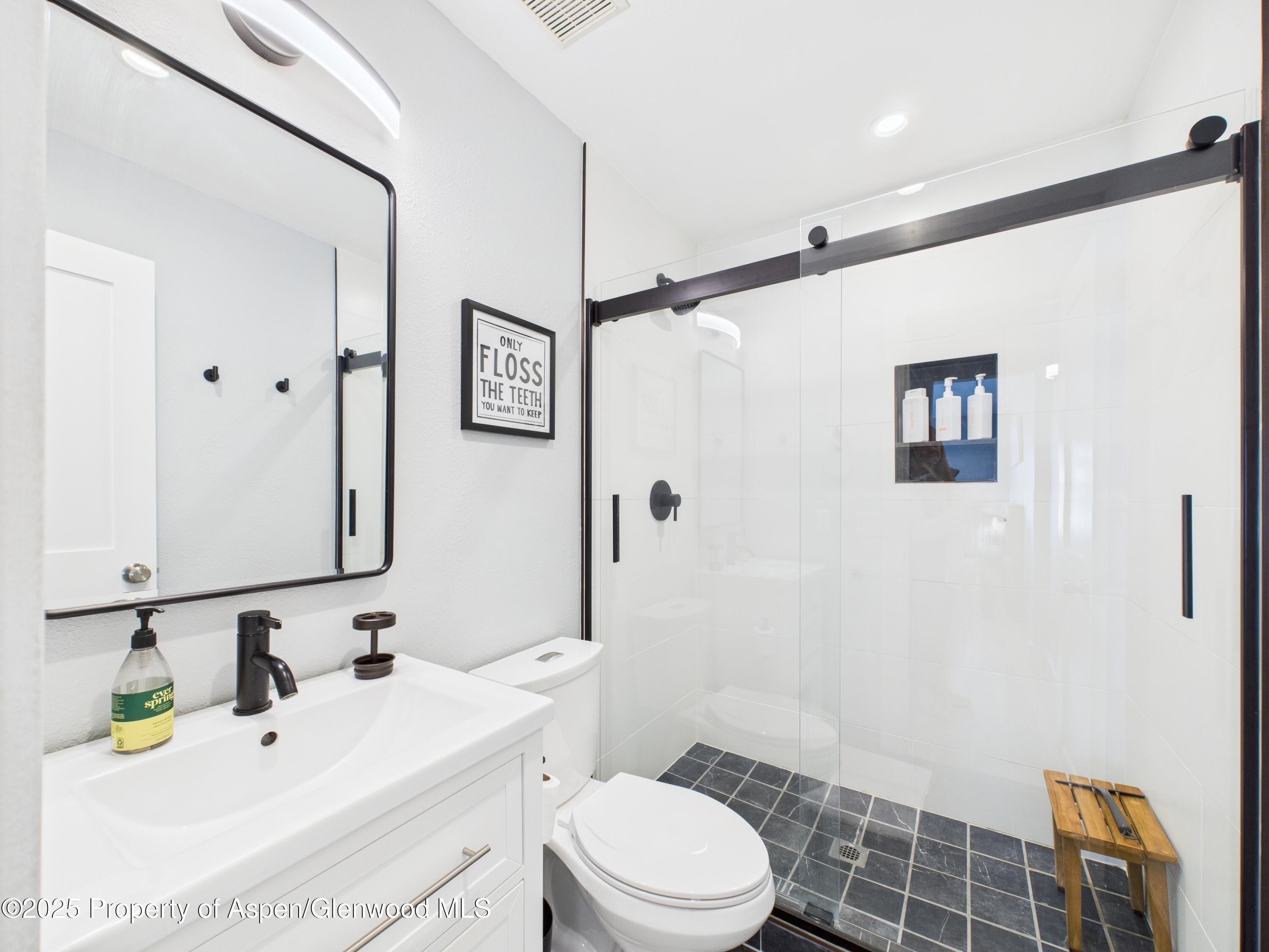 1117 Cara Court Carbondale CO 81623