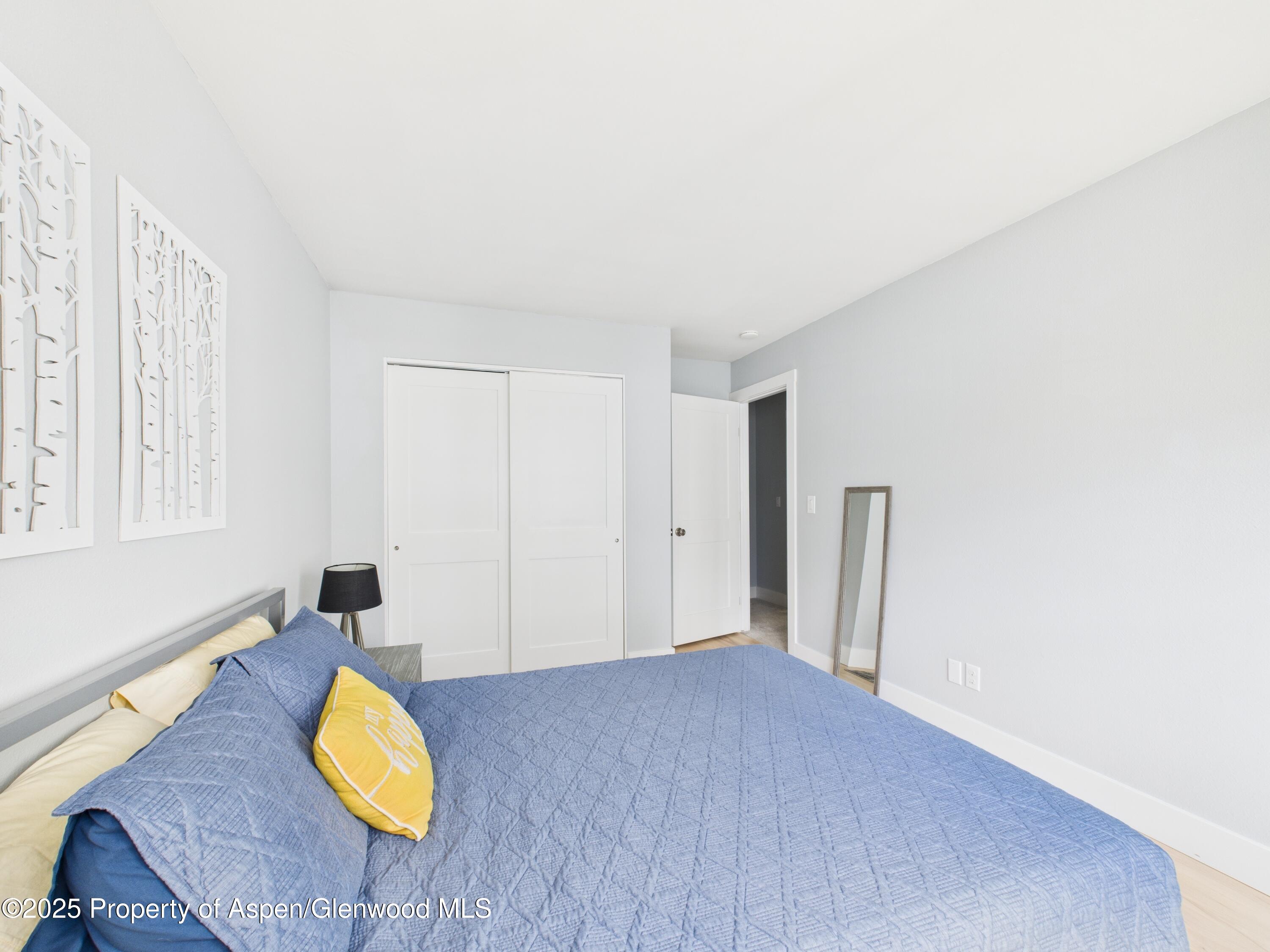 1117 Cara Court Carbondale CO 81623