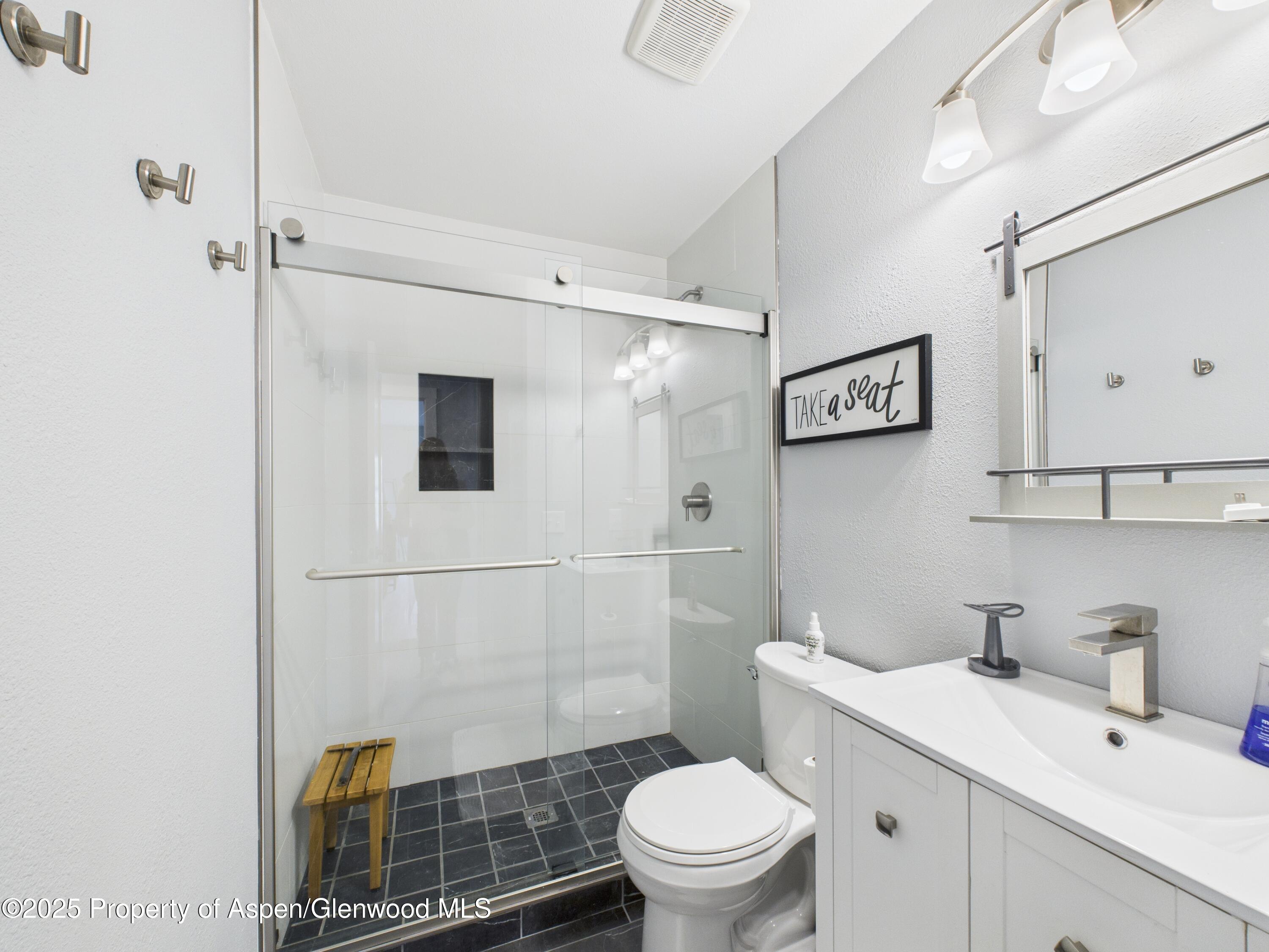 1117 Cara Court Carbondale CO 81623