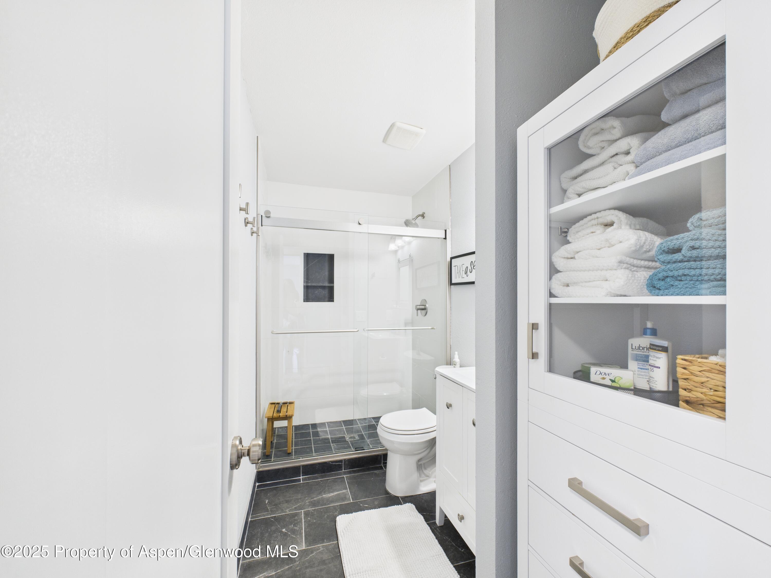 1117 Cara Court Carbondale CO 81623