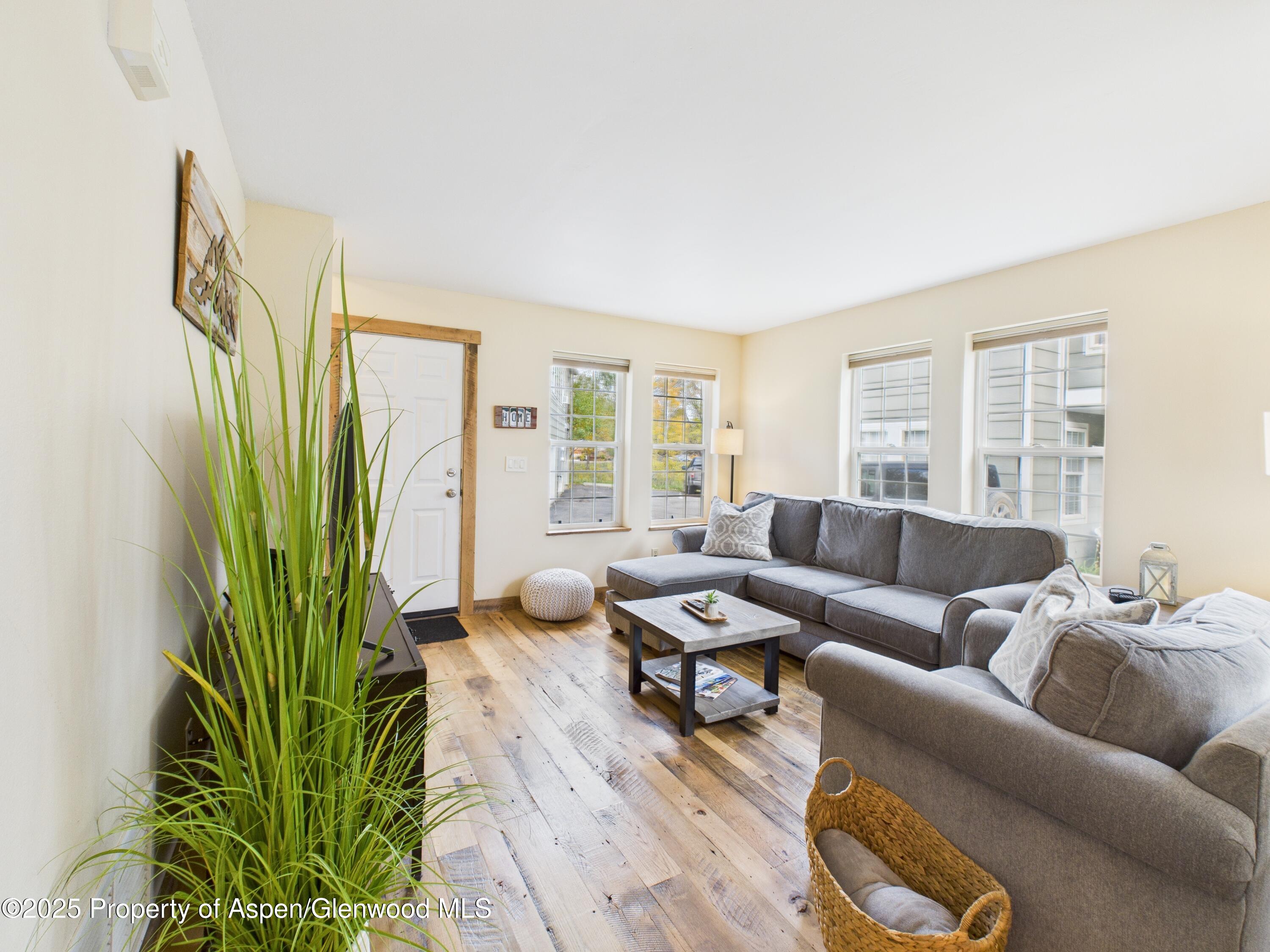 1117 Cara Court Carbondale CO 81623