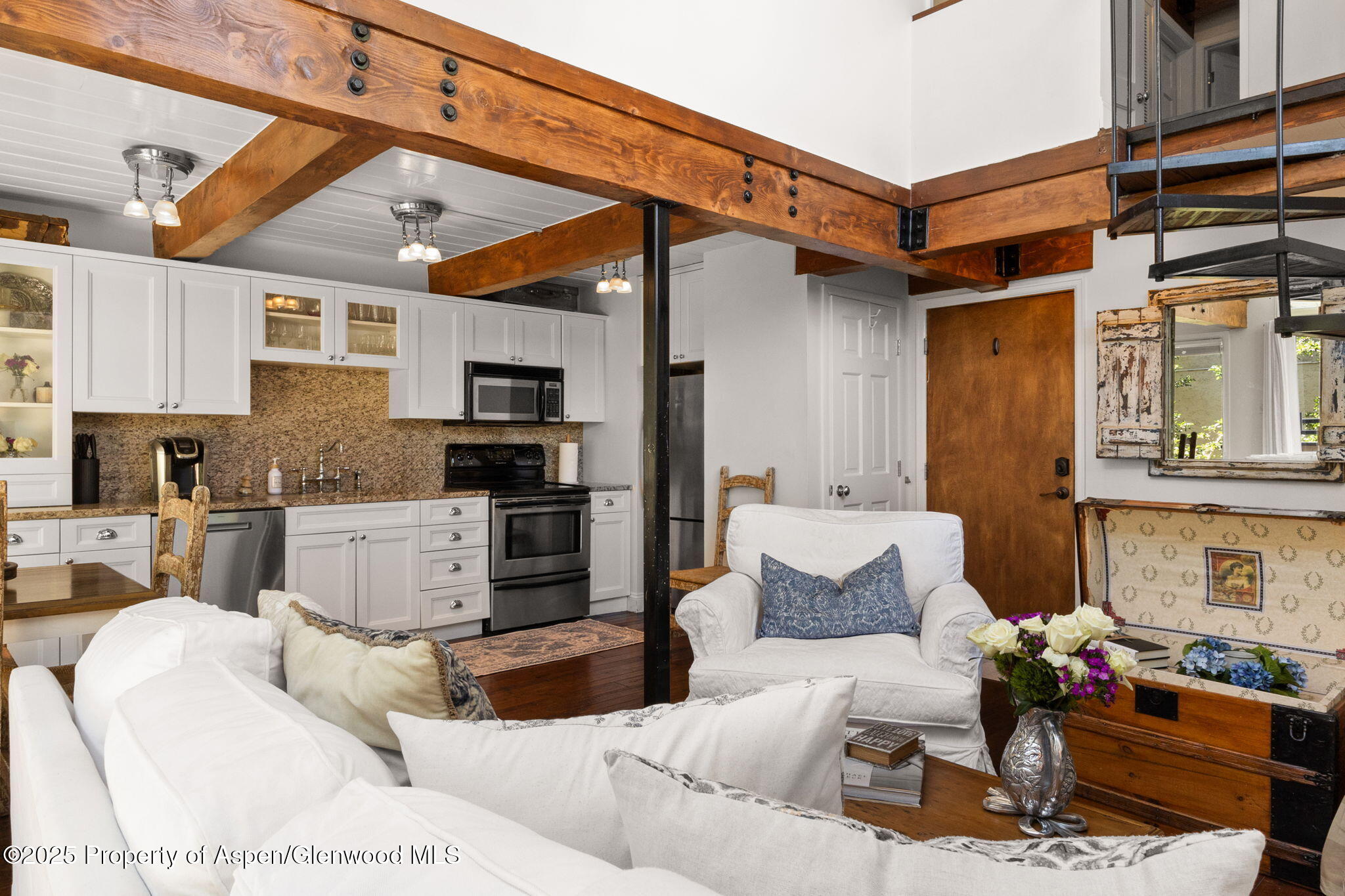 1024 E Cooper Avenue Aspen CO 81611
