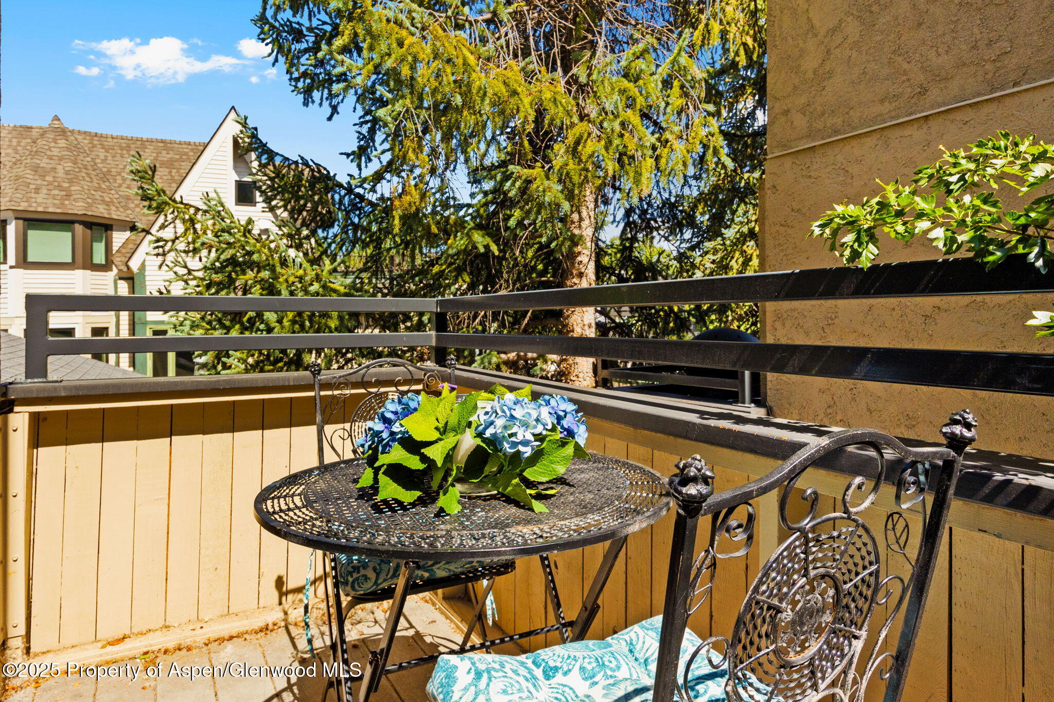 1024 E Cooper Avenue Aspen CO 81611