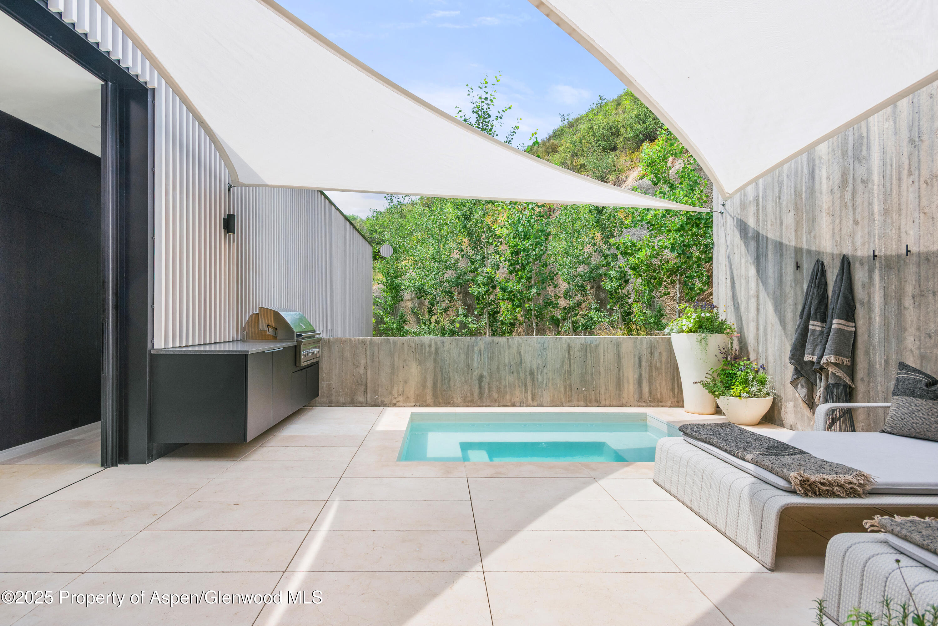 580 Medicine Bow Road Aspen CO 81611