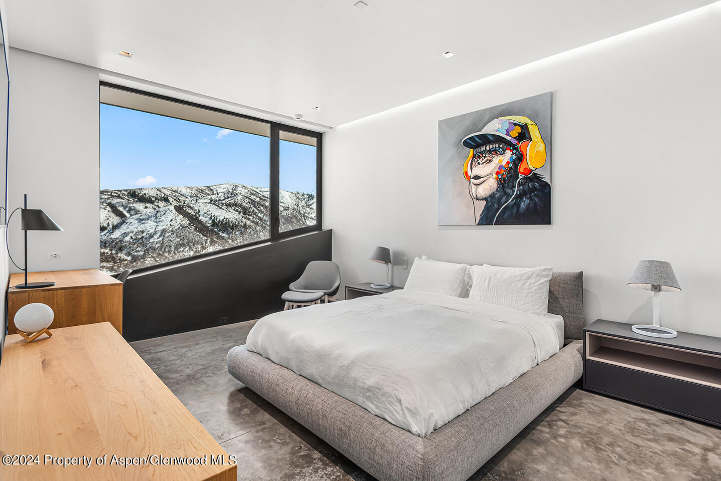 580 Medicine Bow Road Aspen CO 81611