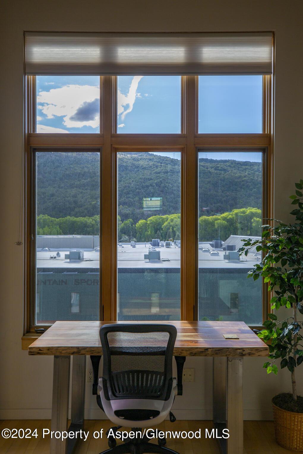 231 Robinson Street Basalt CO 81621