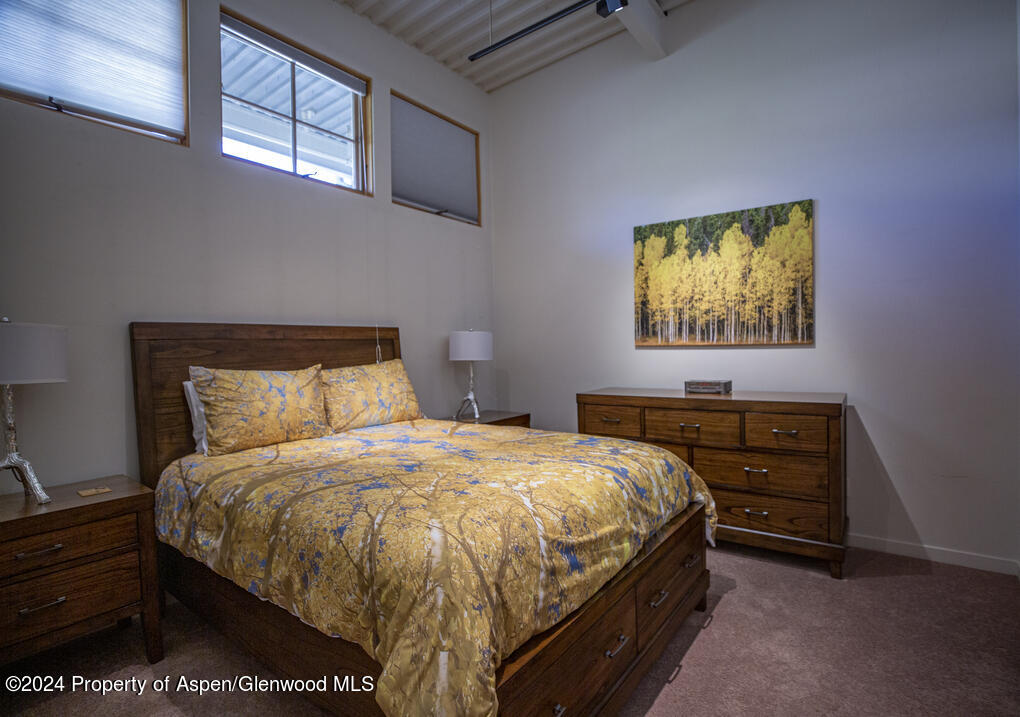 231 Robinson Street Basalt CO 81621