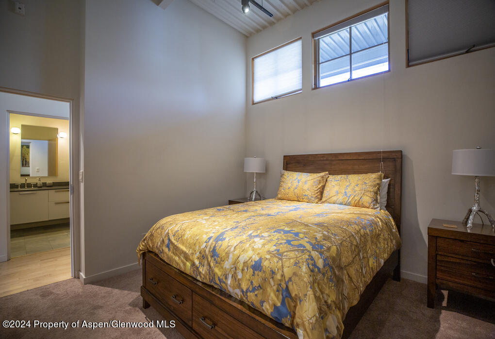 231 Robinson Street Basalt CO 81621