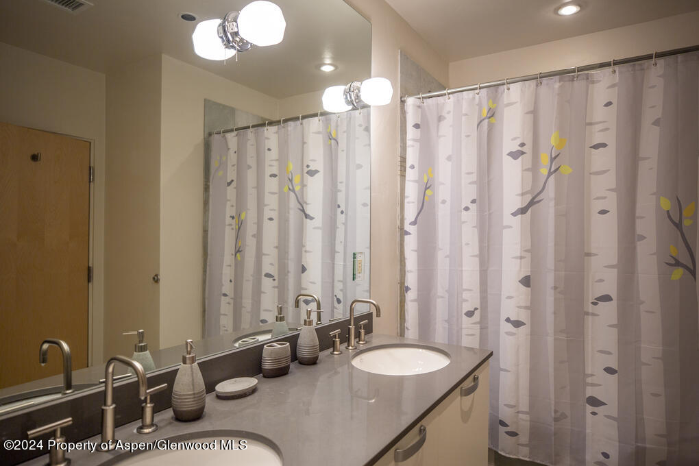 231 Robinson Street Basalt CO 81621