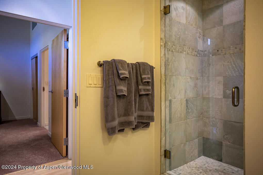 231 Robinson Street Basalt CO 81621