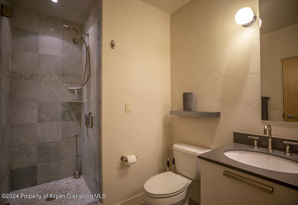 231 Robinson Street Basalt CO 81621