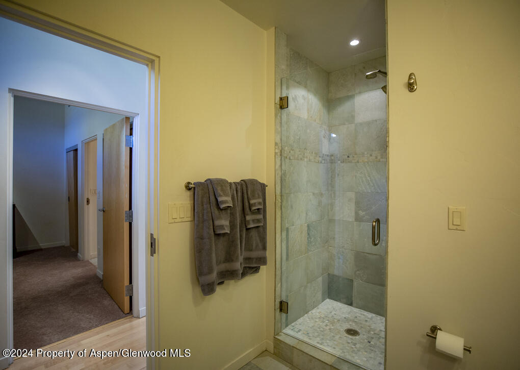 231 Robinson Street Basalt CO 81621