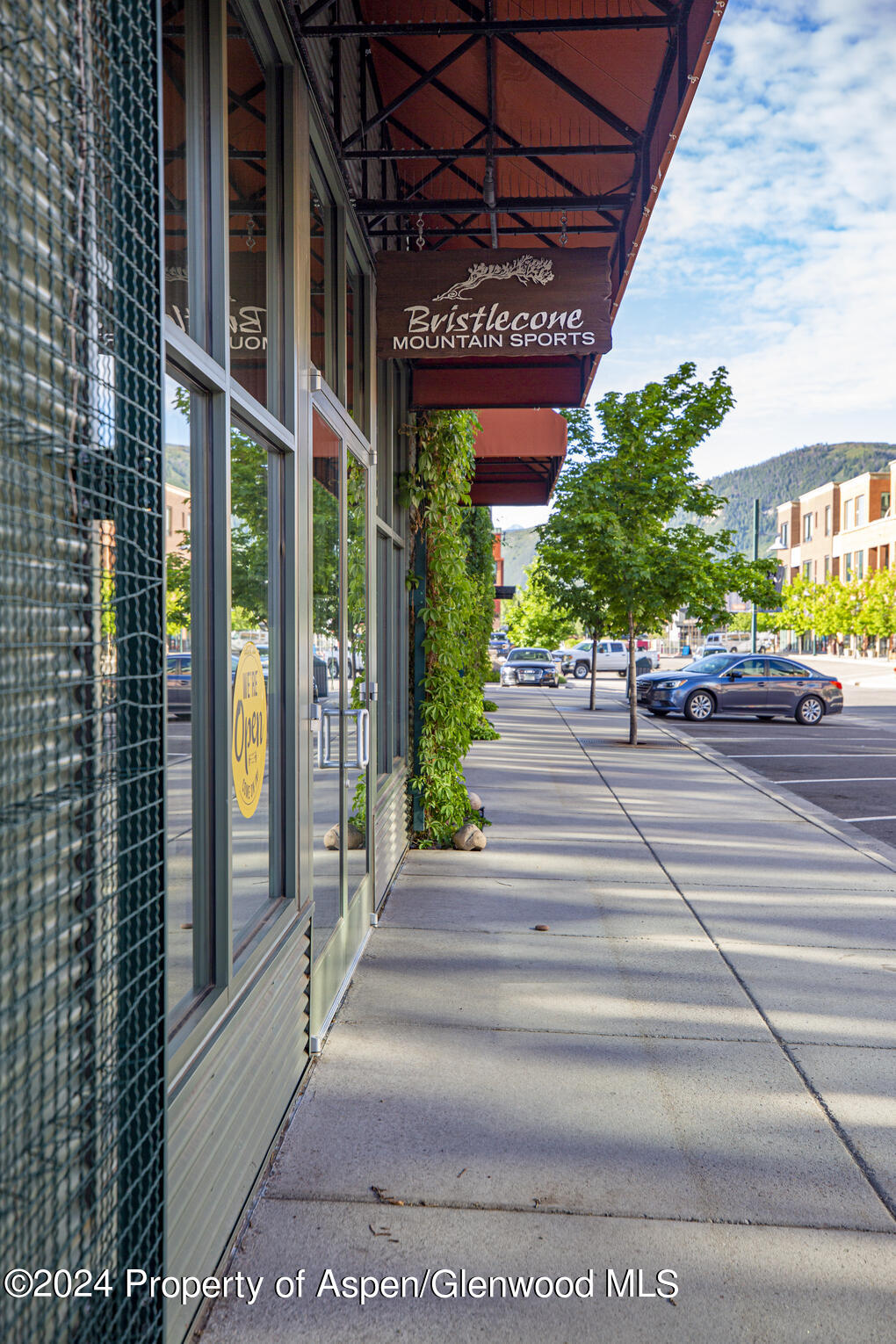 231 Robinson Street Basalt CO 81621